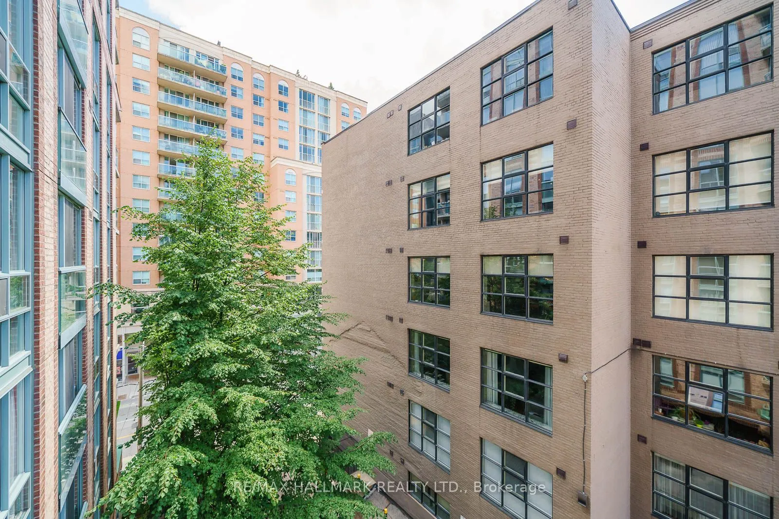 311 Richmond Street E #501