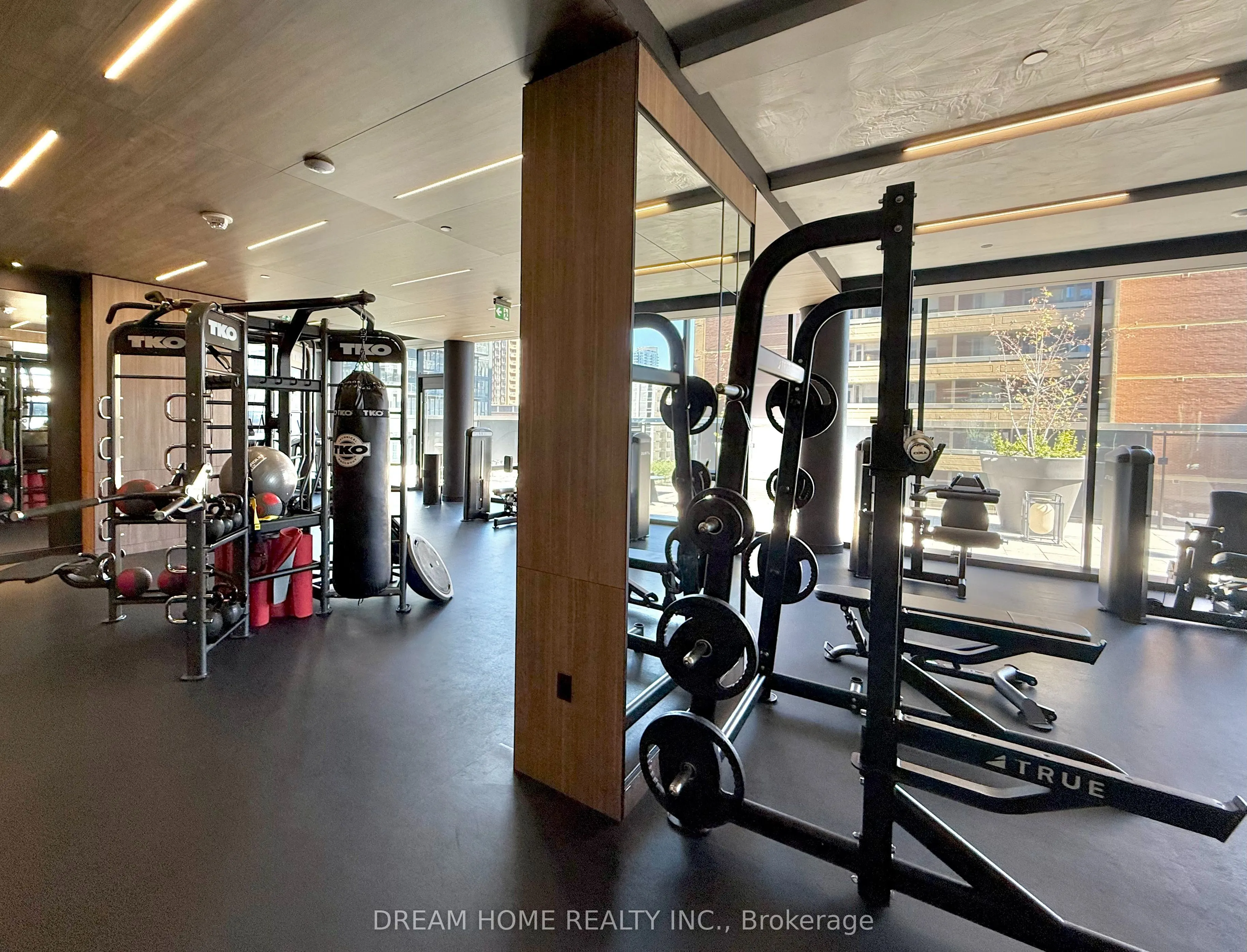 55 Charles Street E #1413