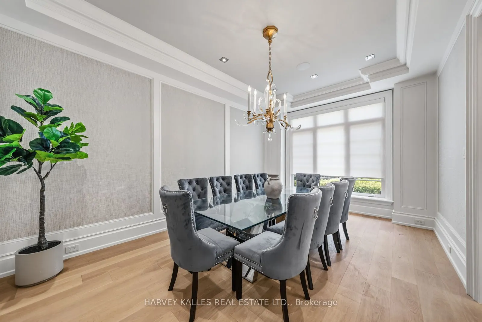 523 Vesta Drive