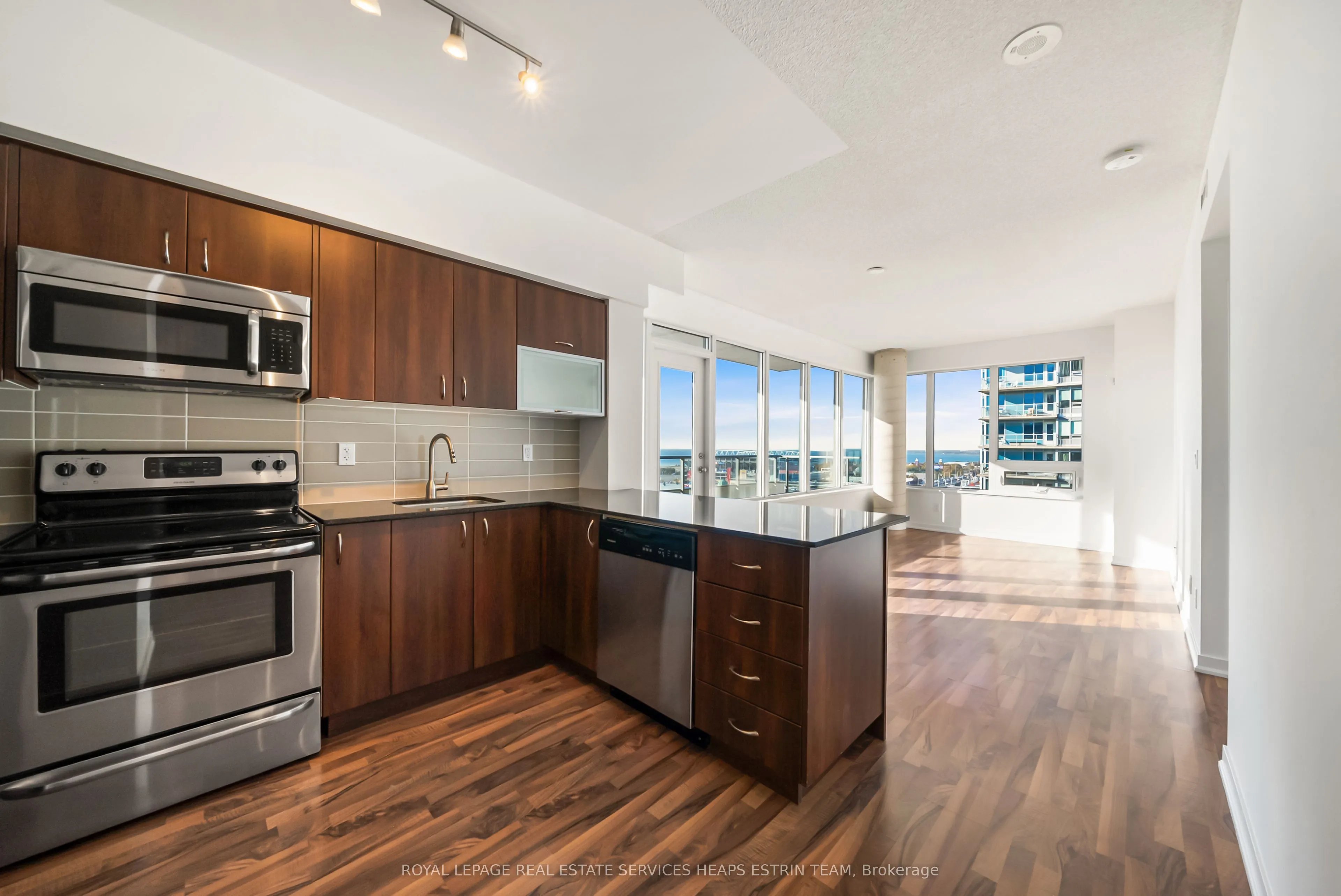 55 East Liberty Street #1709