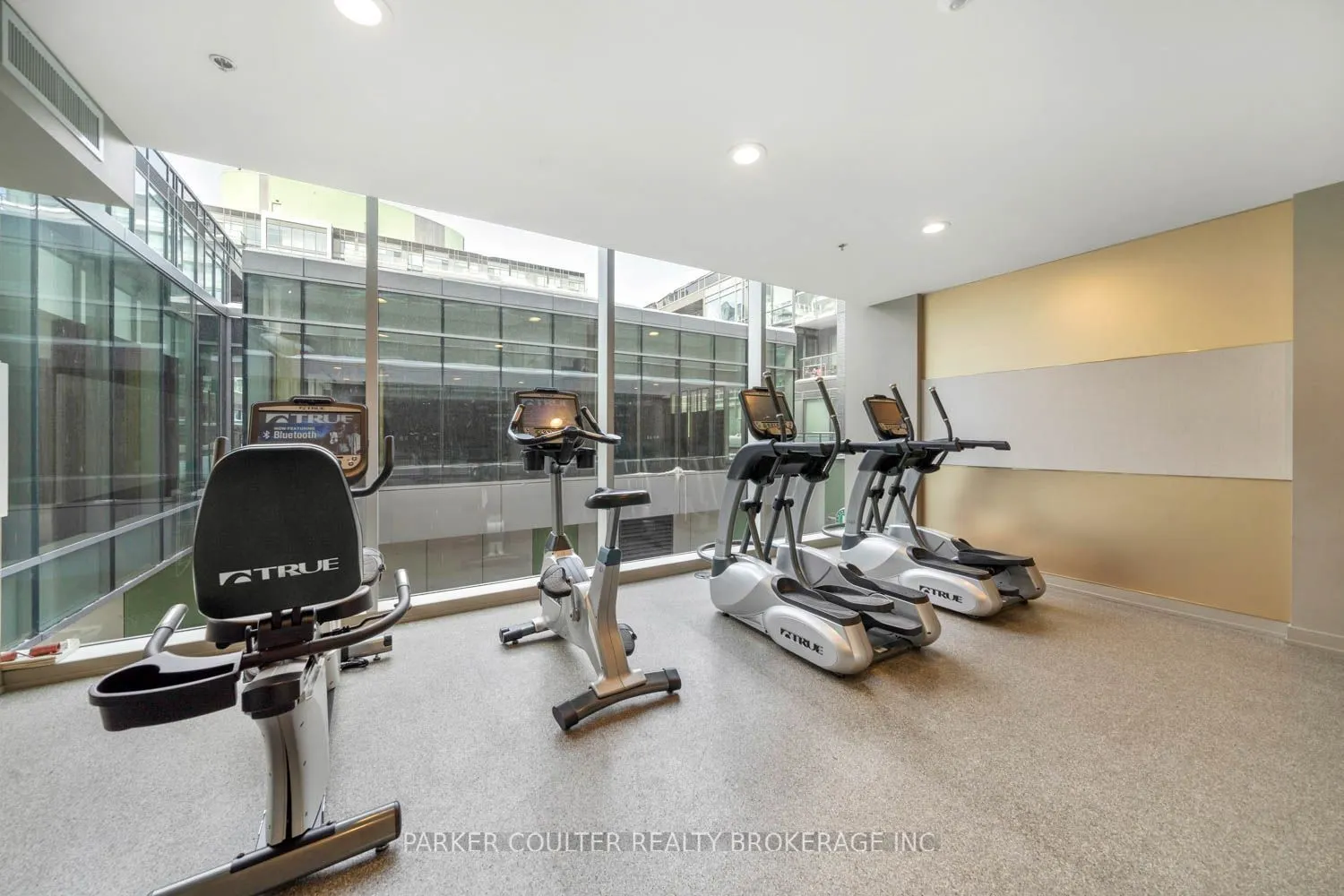455 Front Street E #S810
