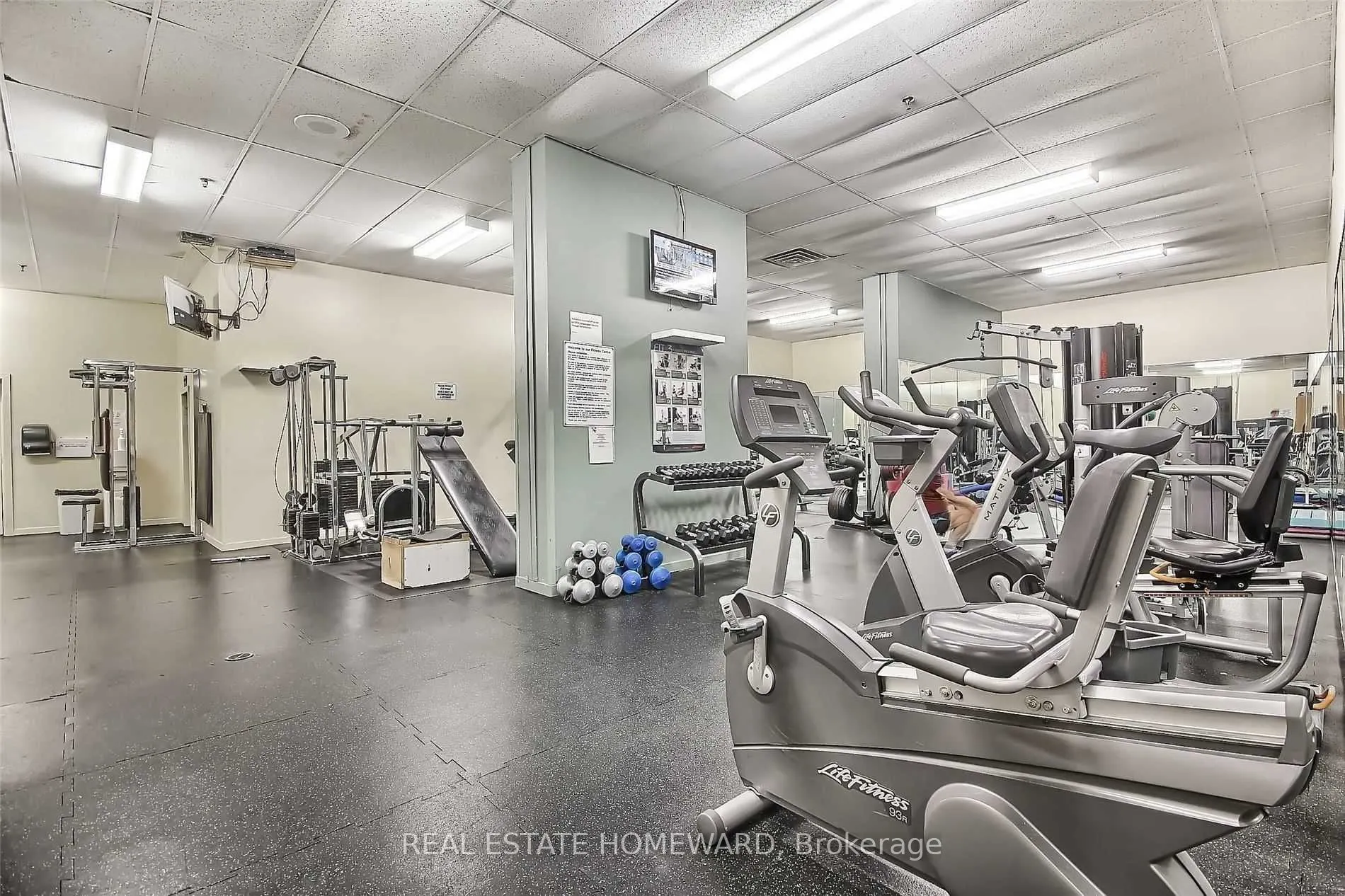 77 Maitland Place #1219