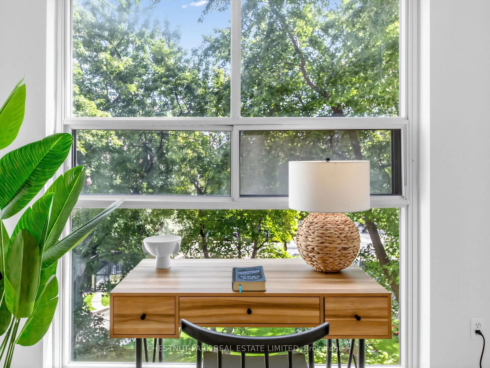 40 Homewood Avenue #414