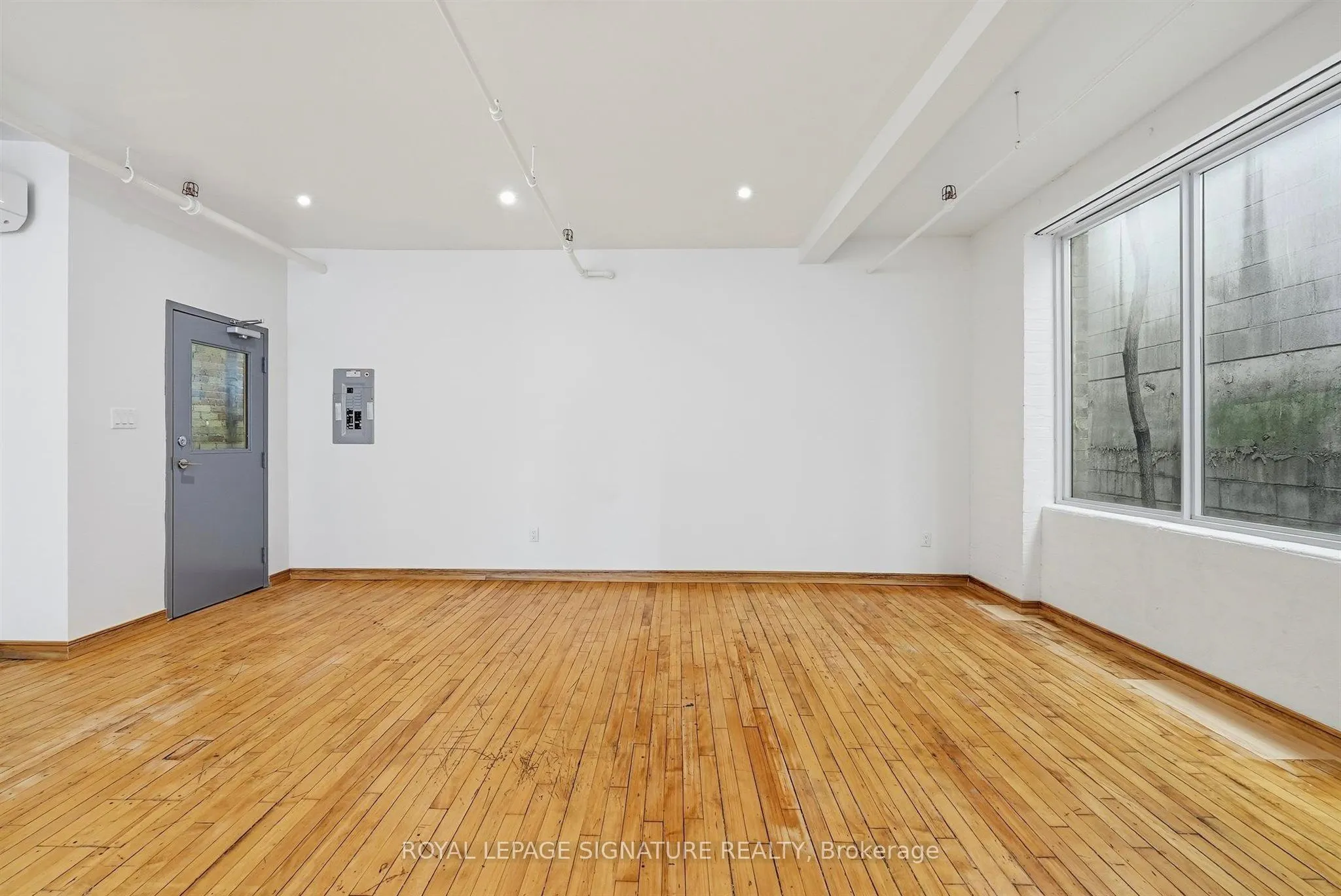 59 Cameron Street #201