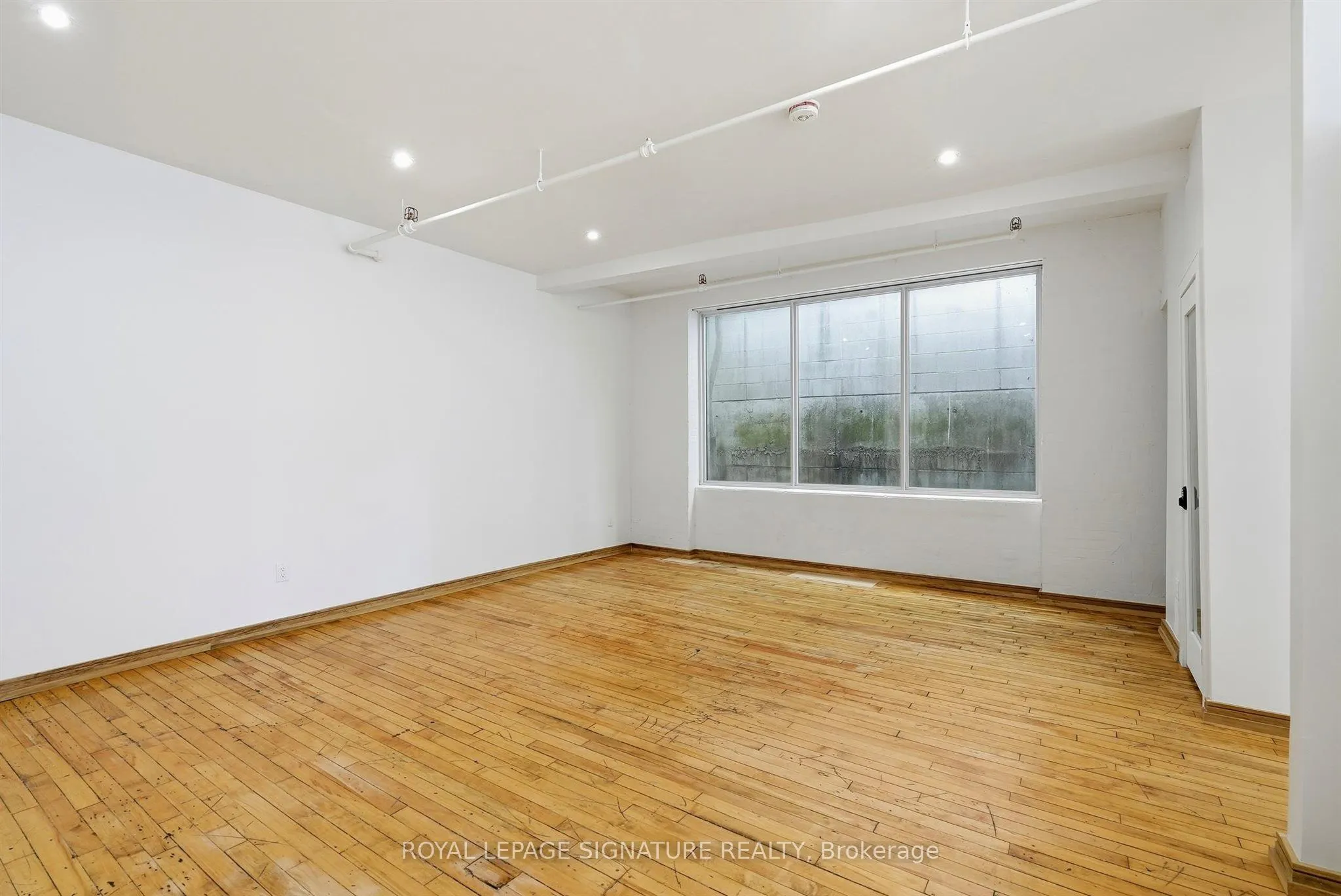 59 Cameron Street #201