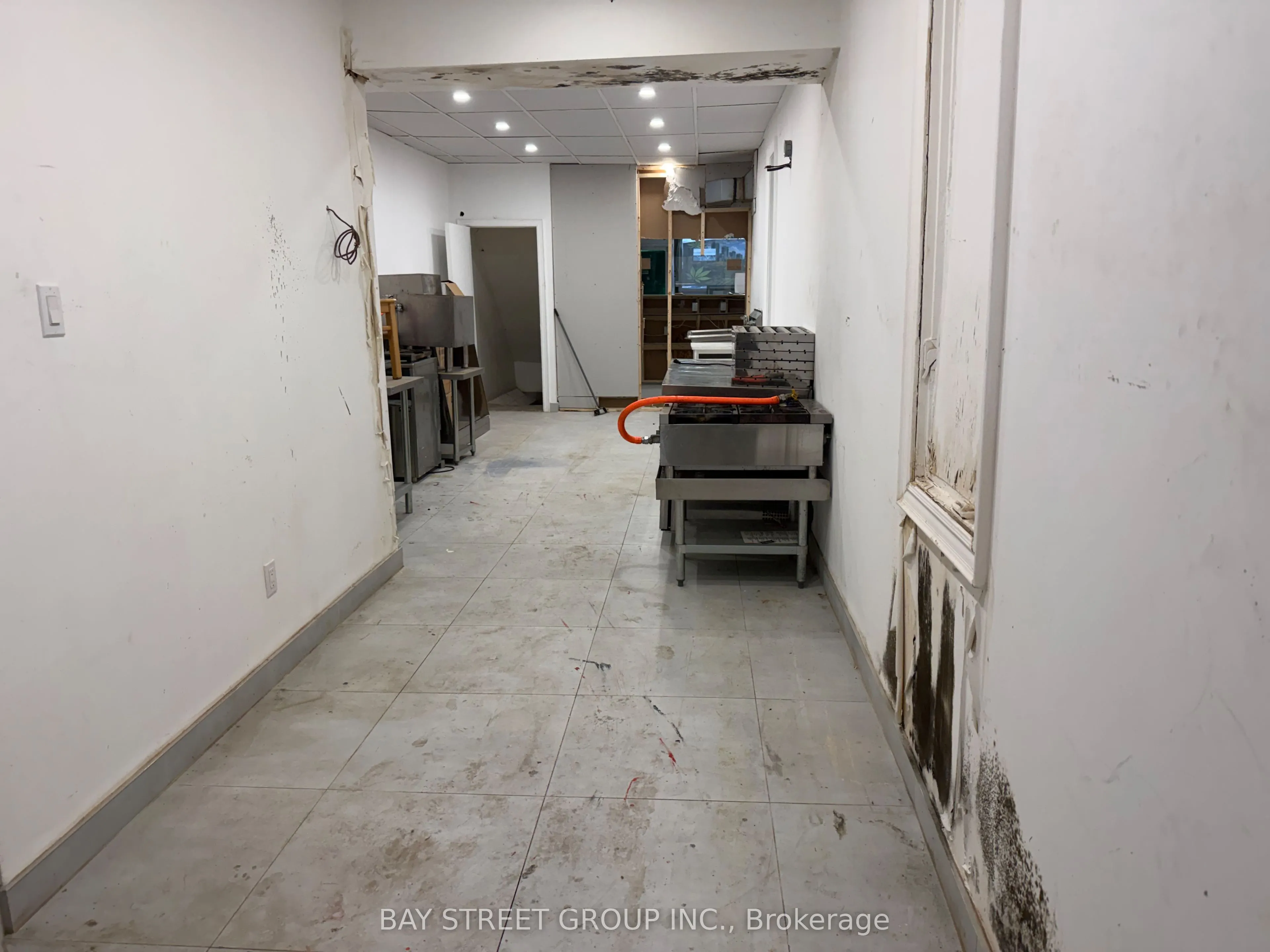 654 Spadina Avenue