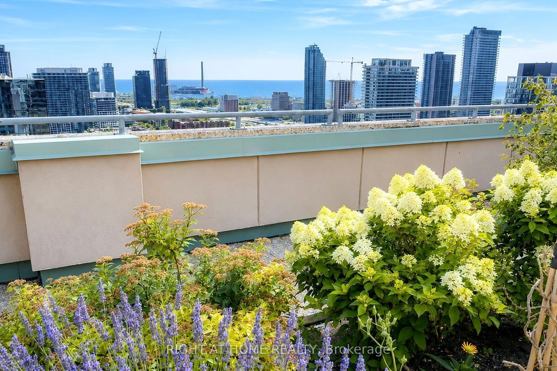 7 King Street E #602
