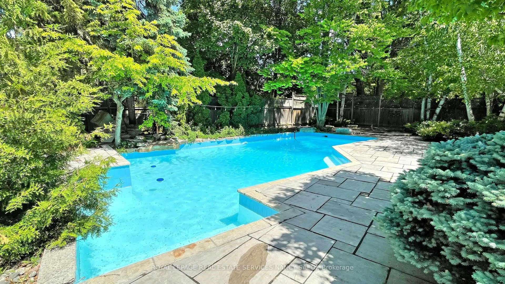 62 Wimpole Drive