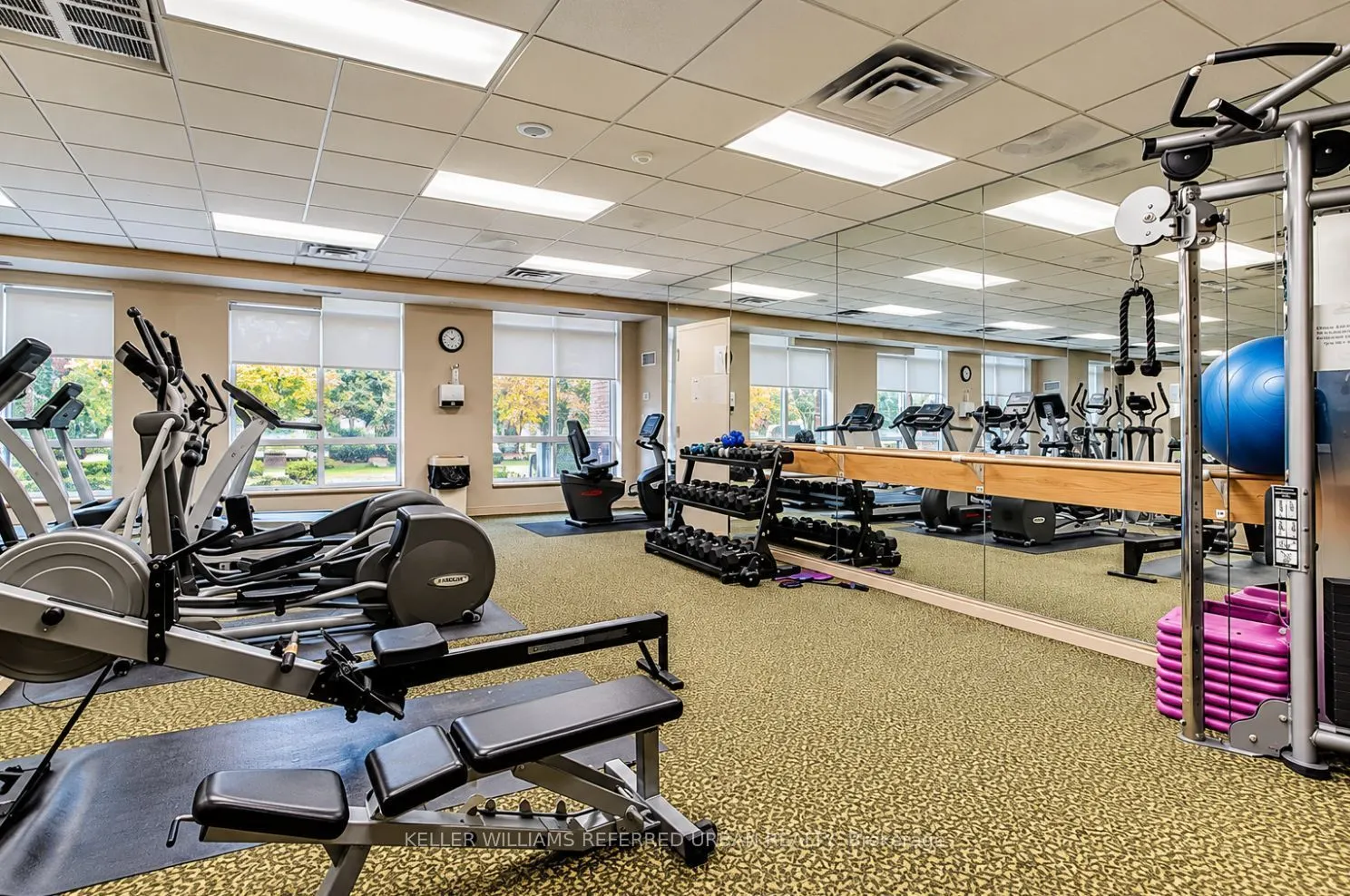 233 Beecroft Road #1118