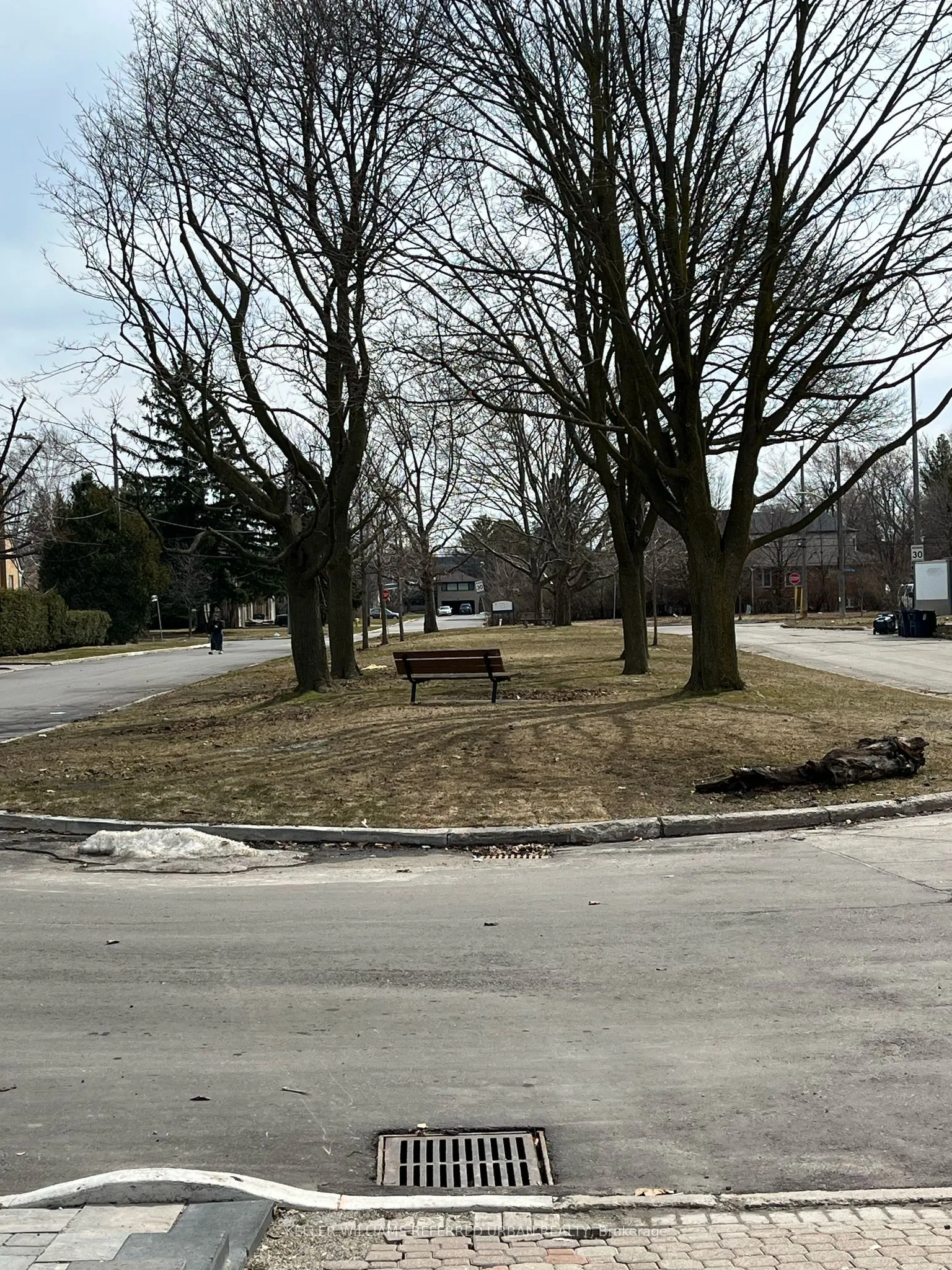 103 Almore Avenue #BSMT 2