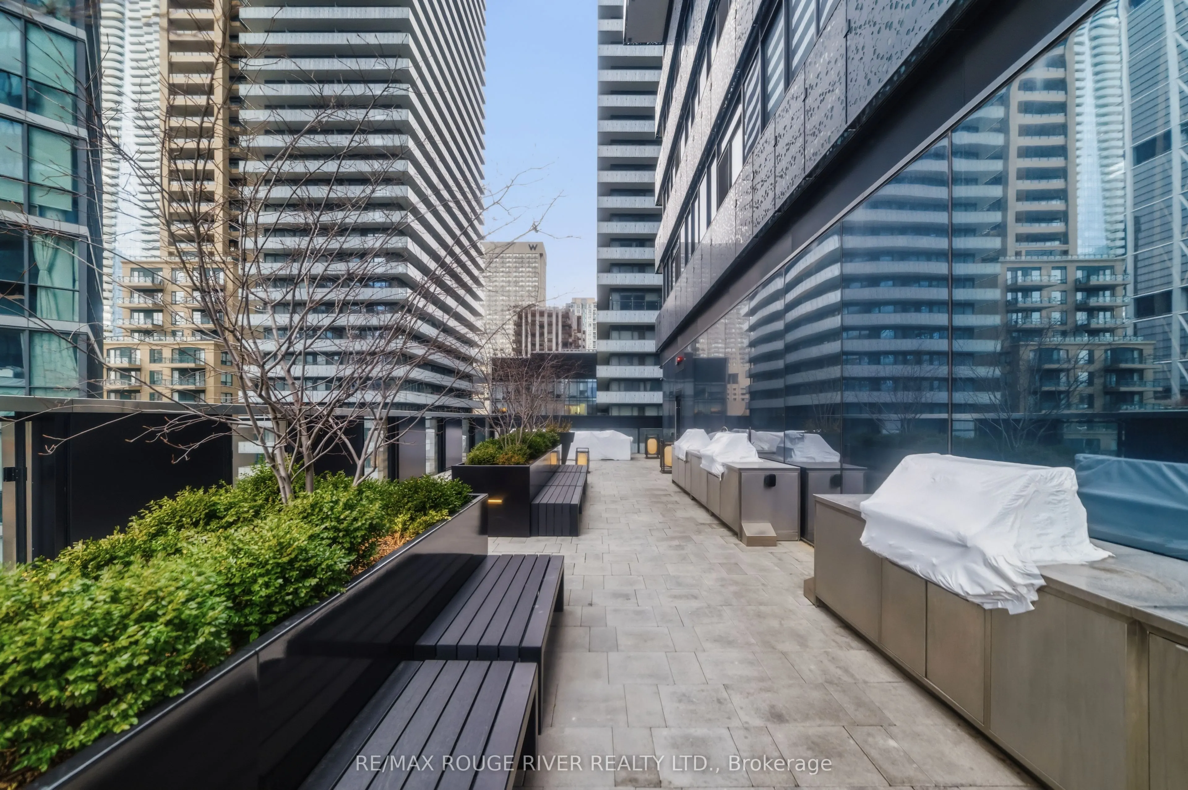 55 Charles Street E #3808