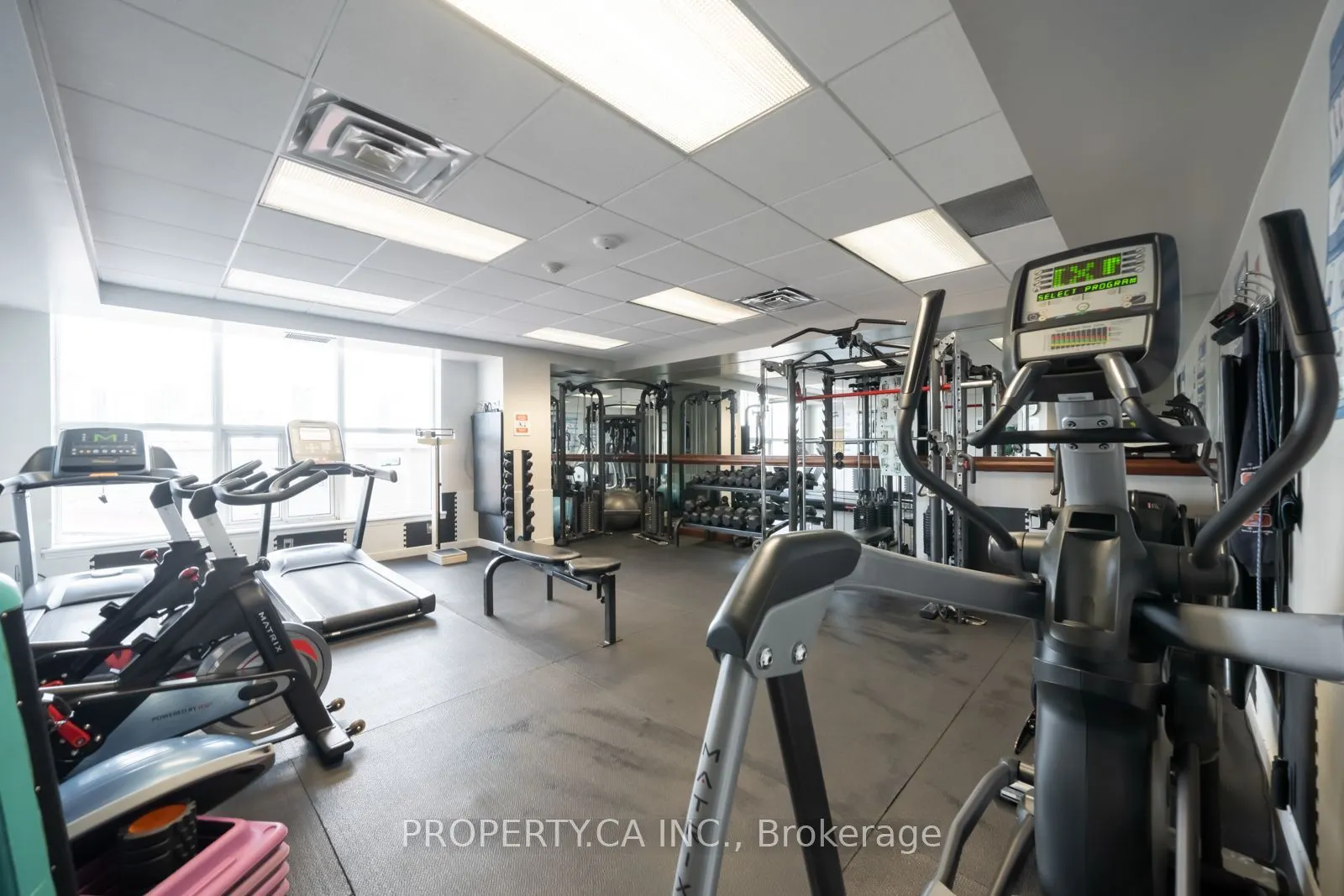 801 King Street W #1004