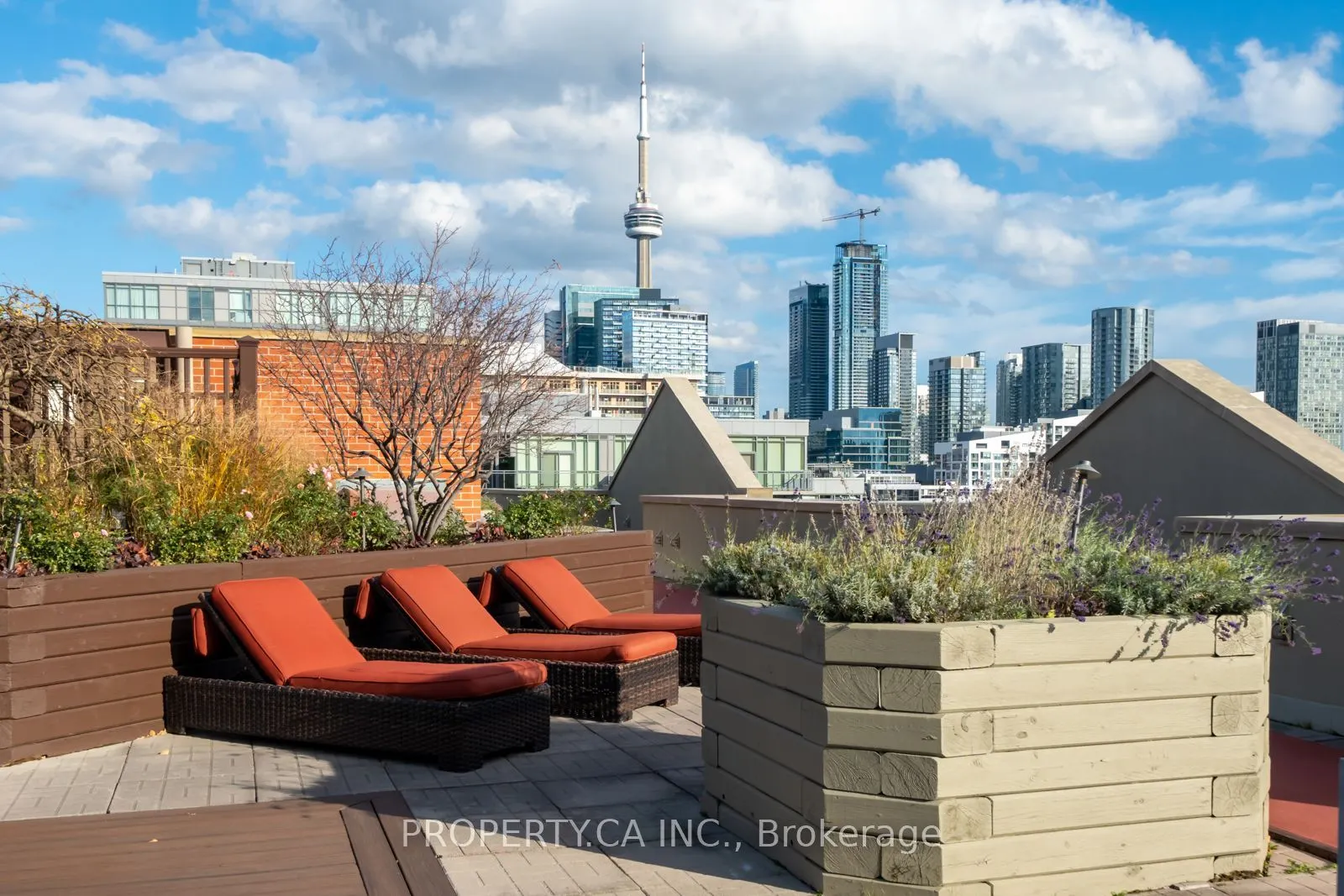 801 King Street W #1004