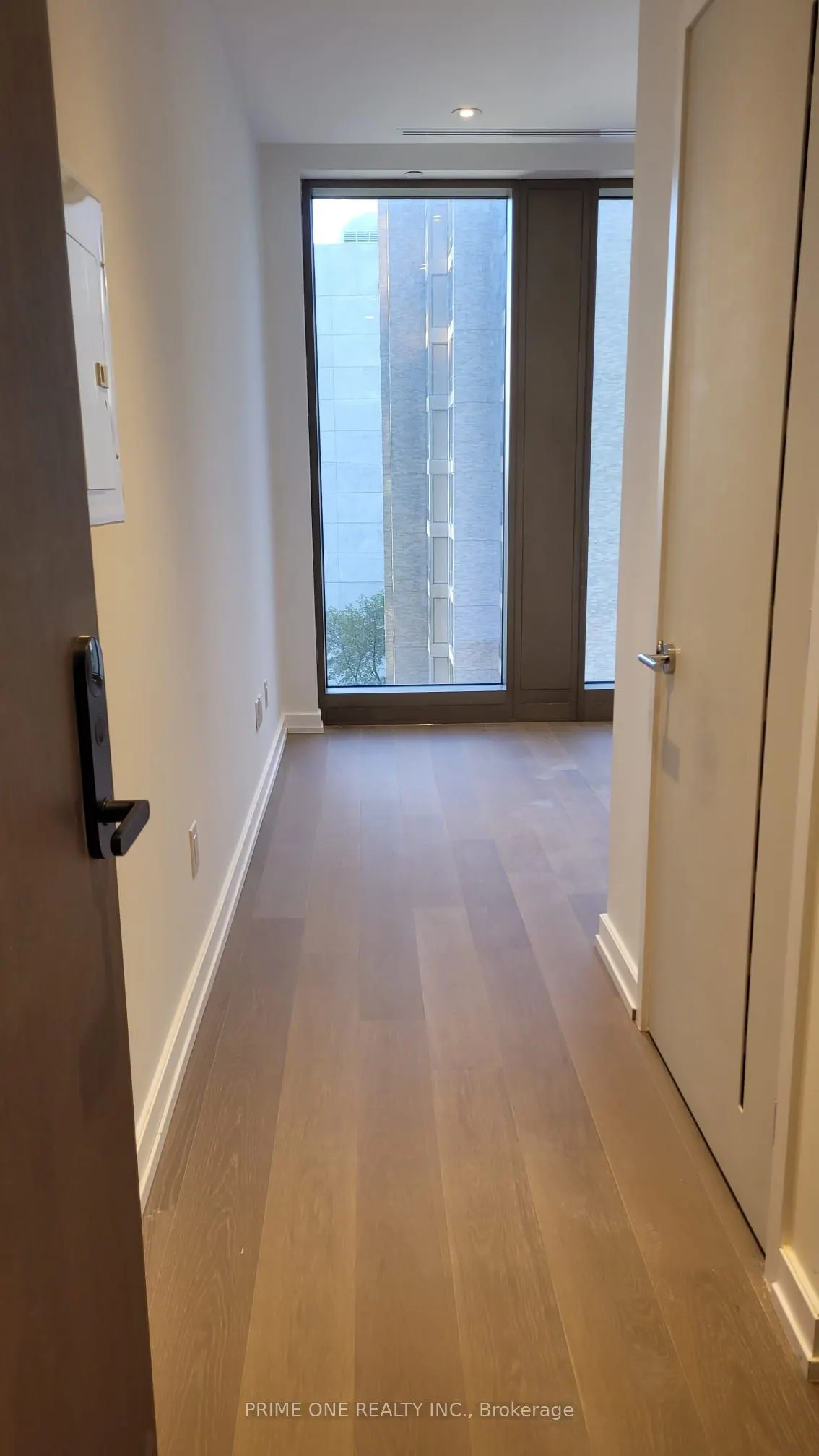 1315 Bay Street #905