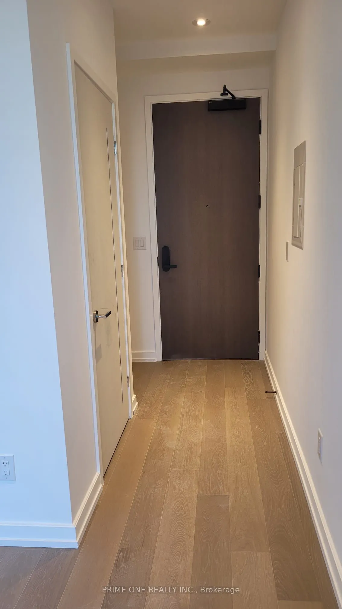 1315 Bay Street #905