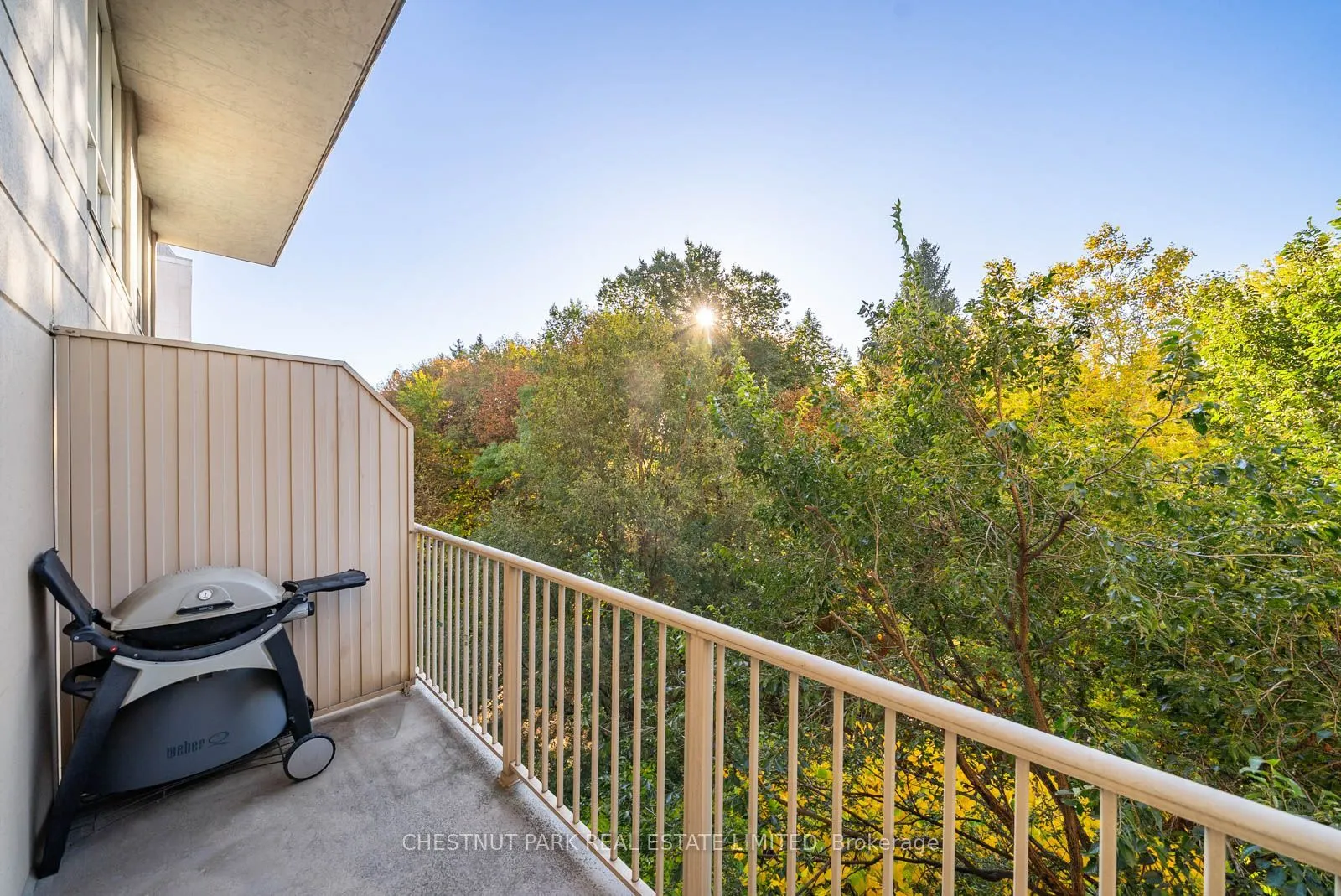 139 Merton Street #440