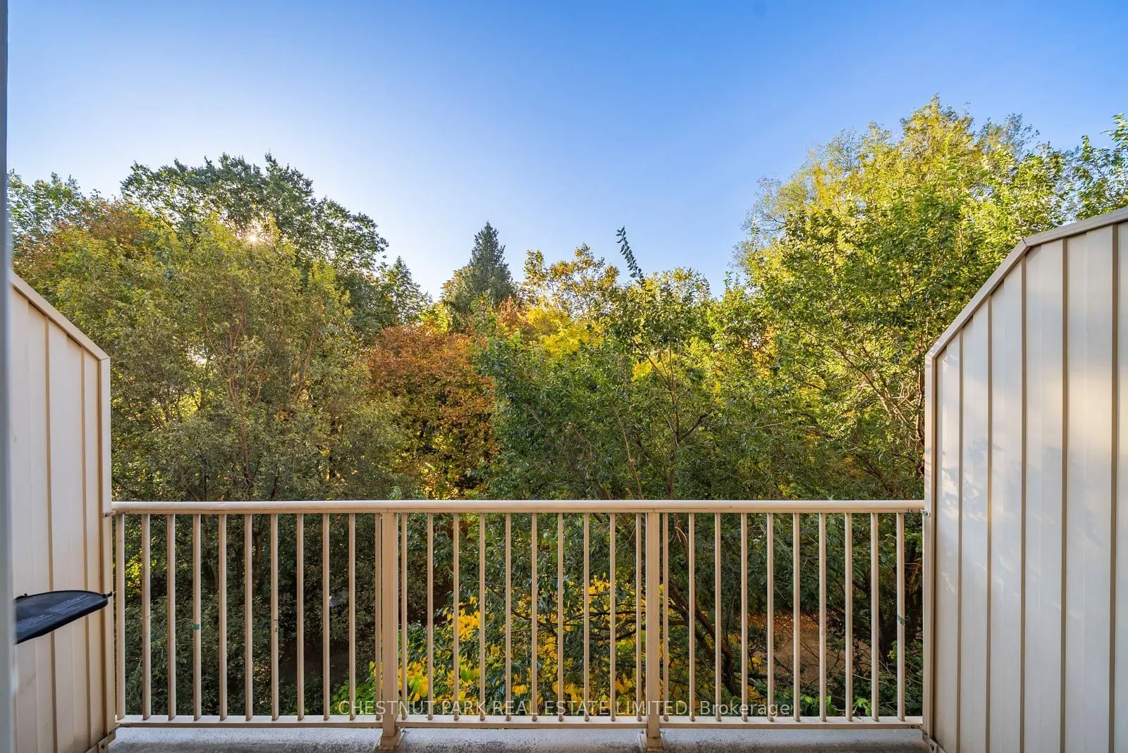 139 Merton Street #440