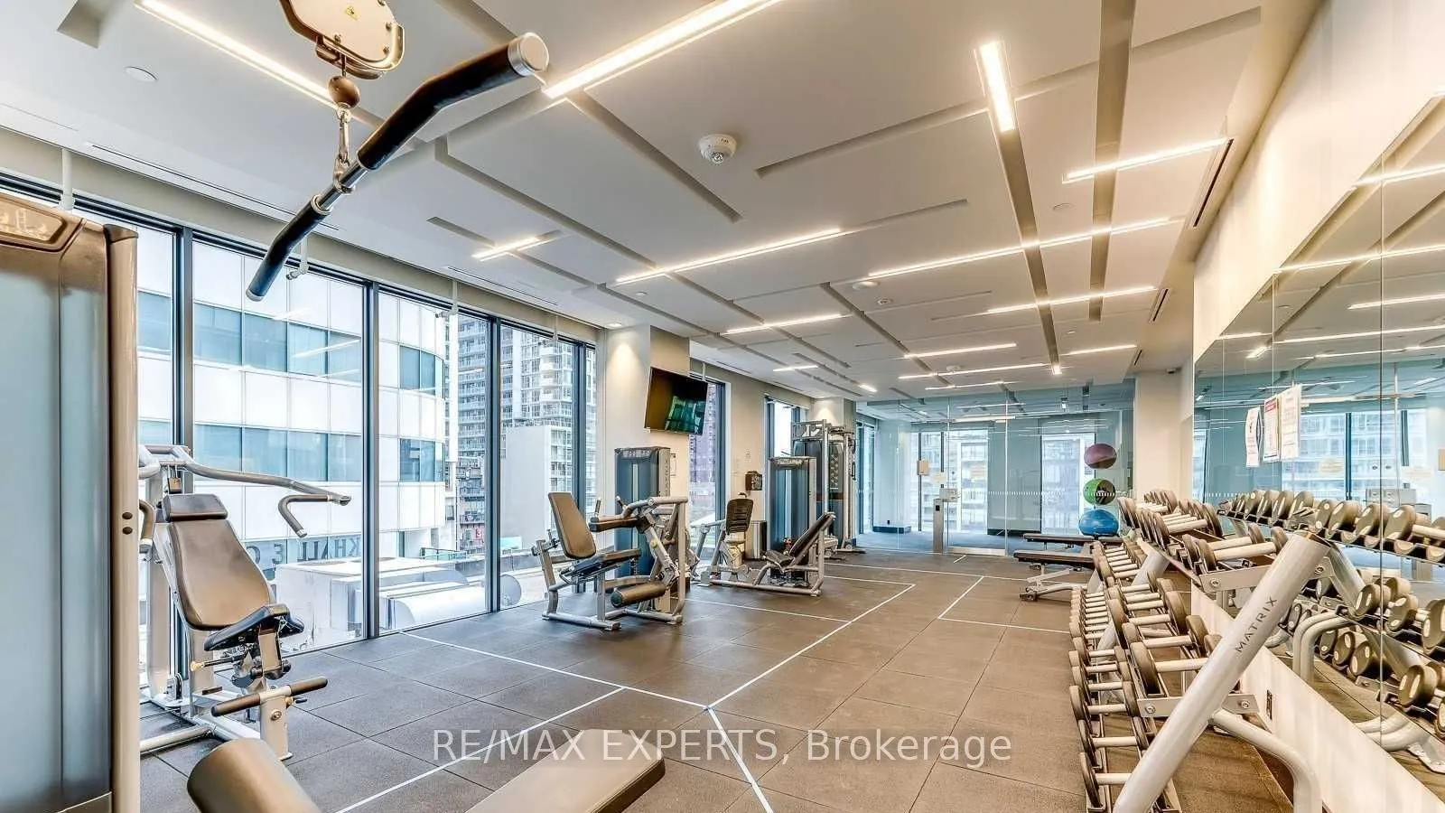 87 Peter Street #2602