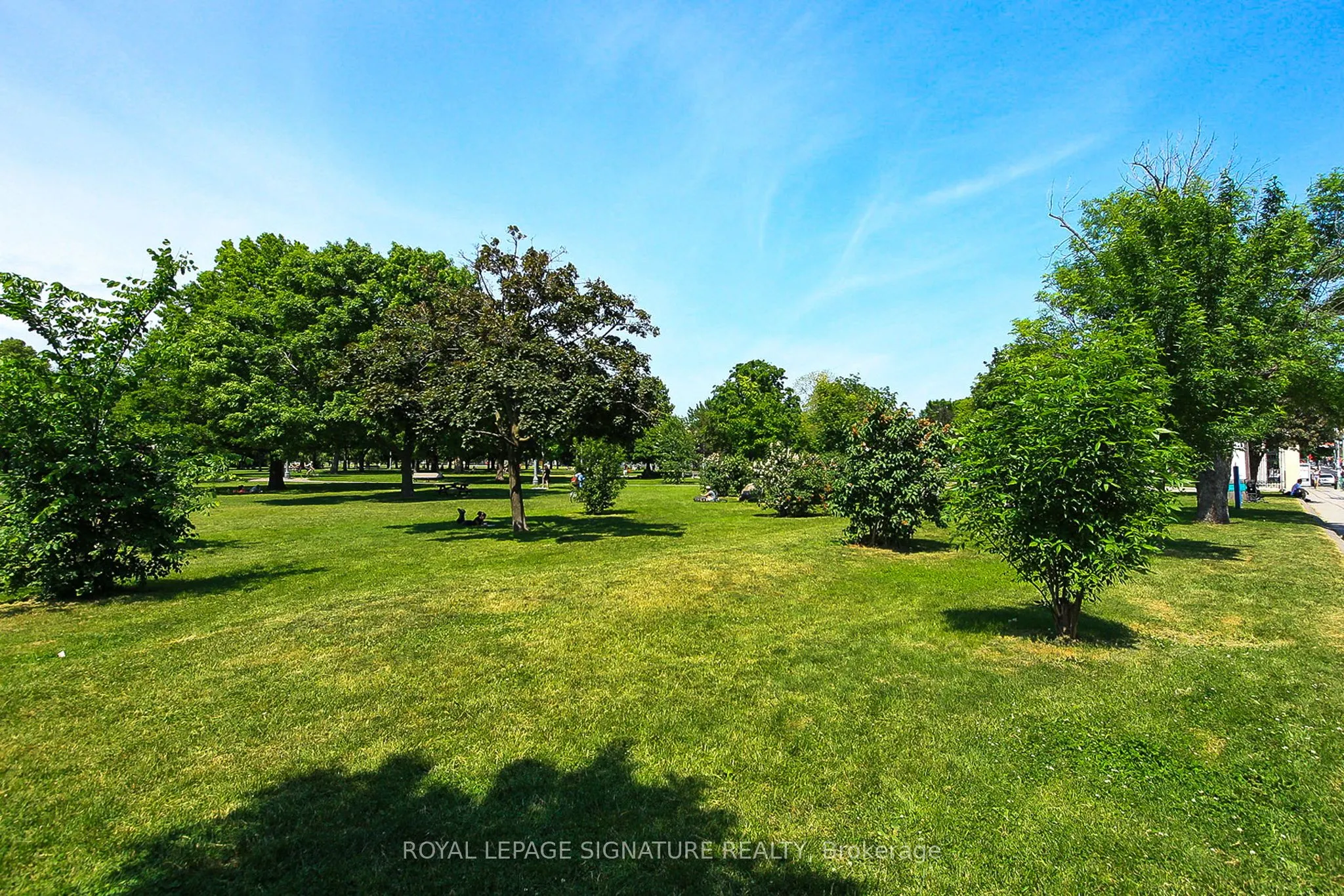 955 Queen Street W #316