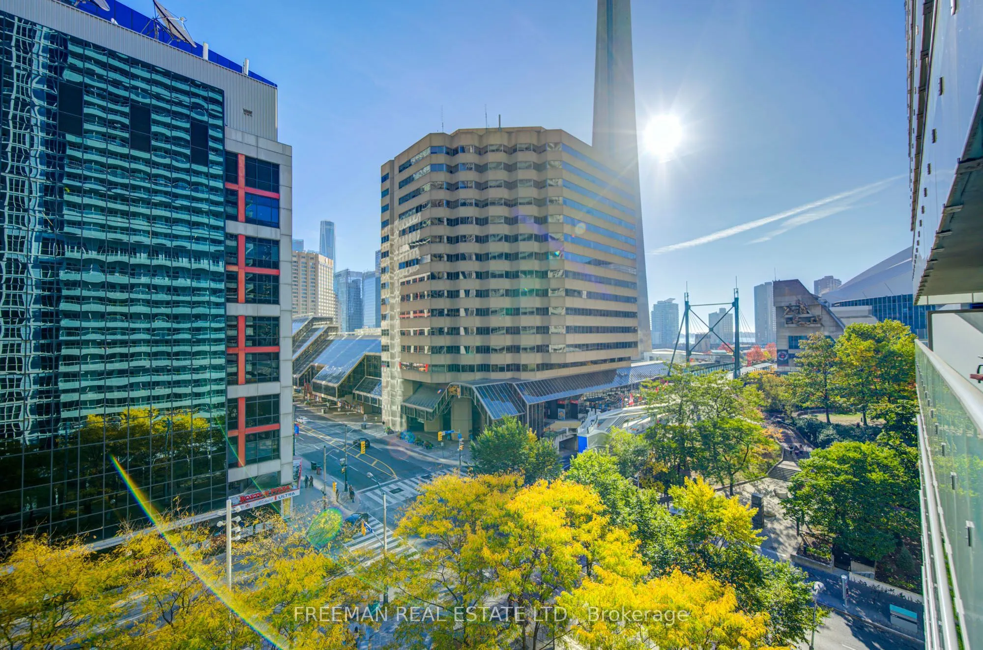 300 Front Street W #709