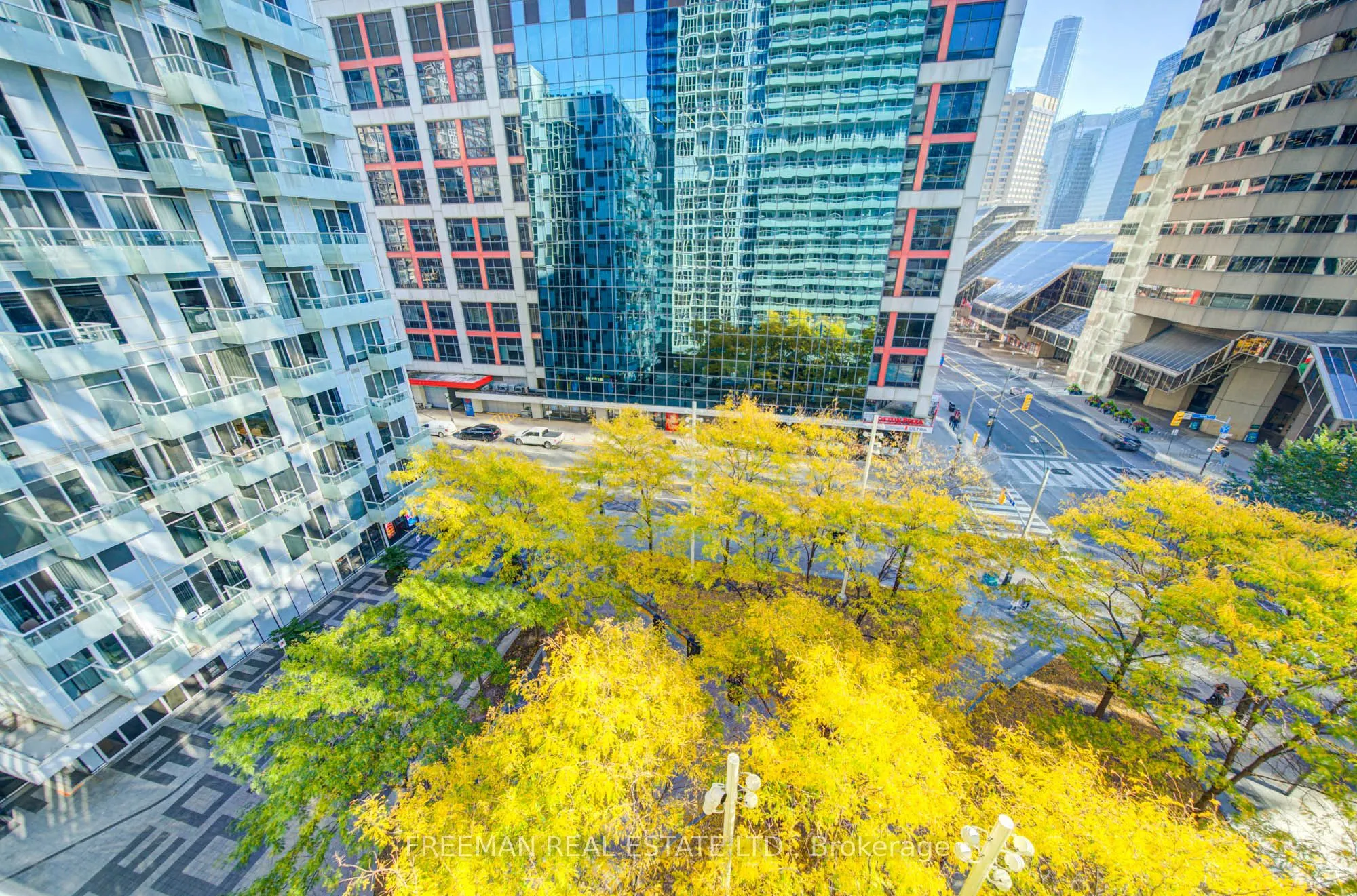 300 Front Street W #709