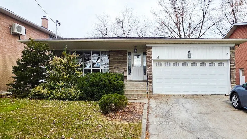 16 Wyvern Road #Basement-B