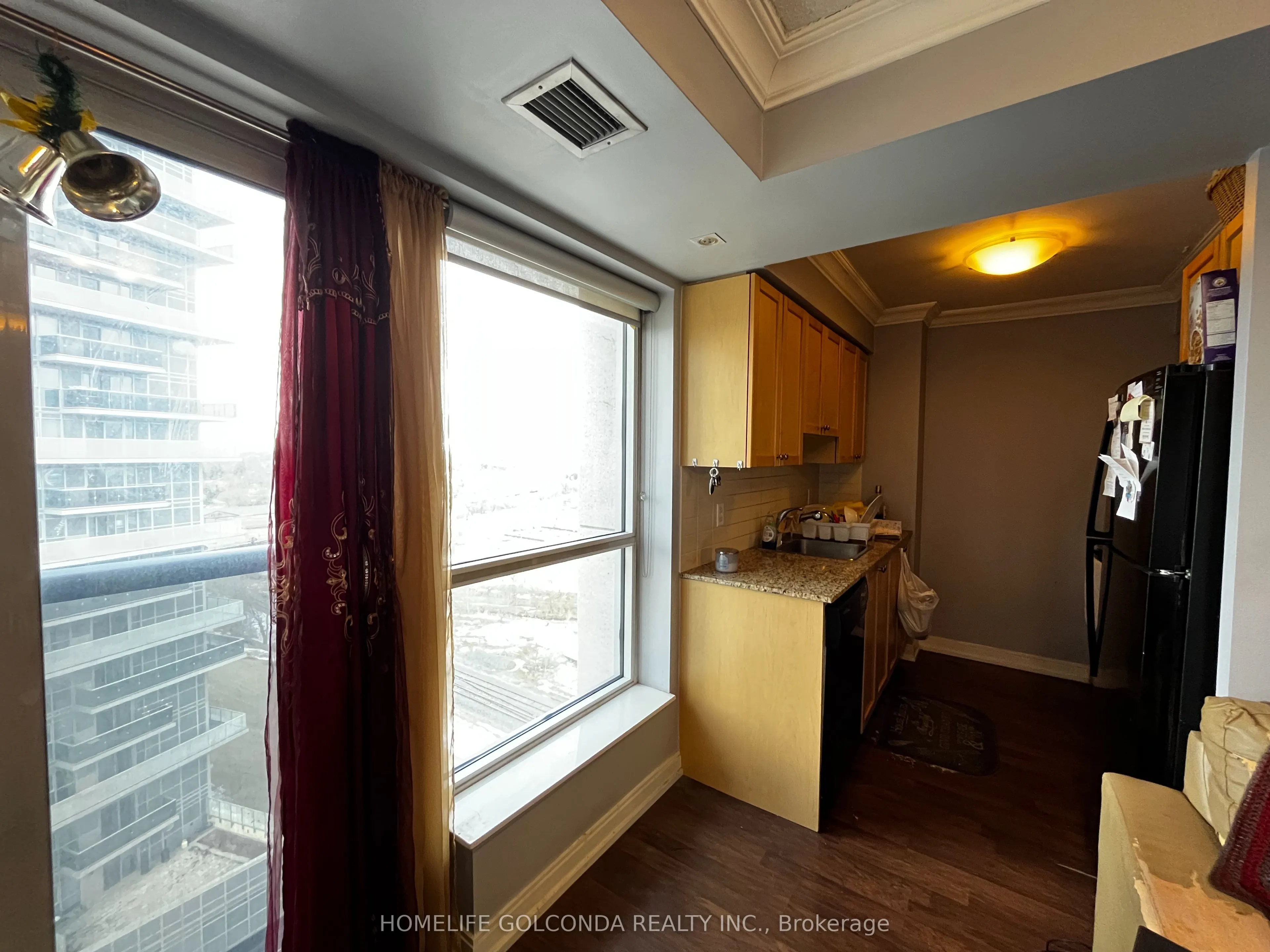 181 Village Green Square #1419