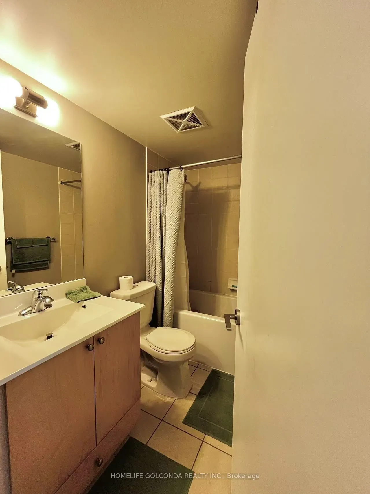 181 Village Green Square #1419