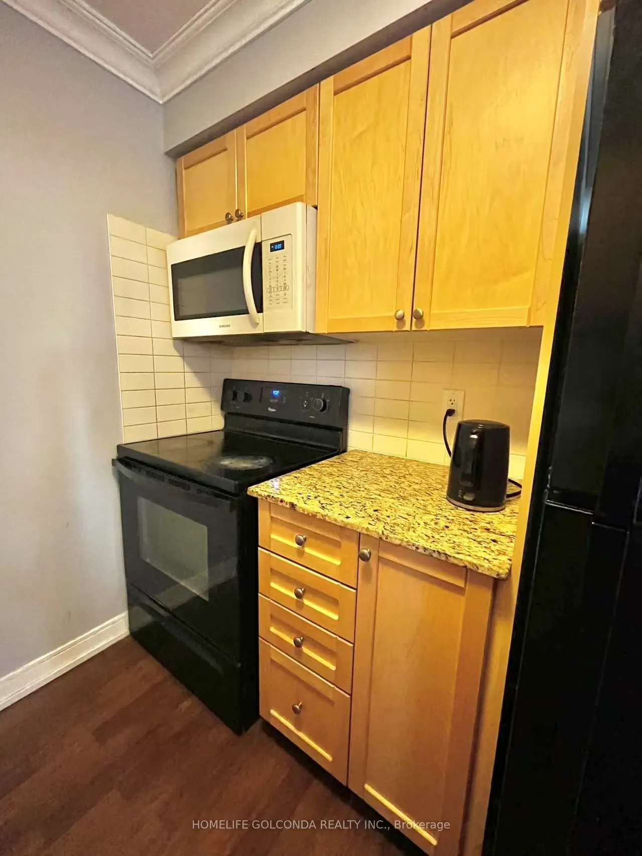 181 Village Green Square #1419