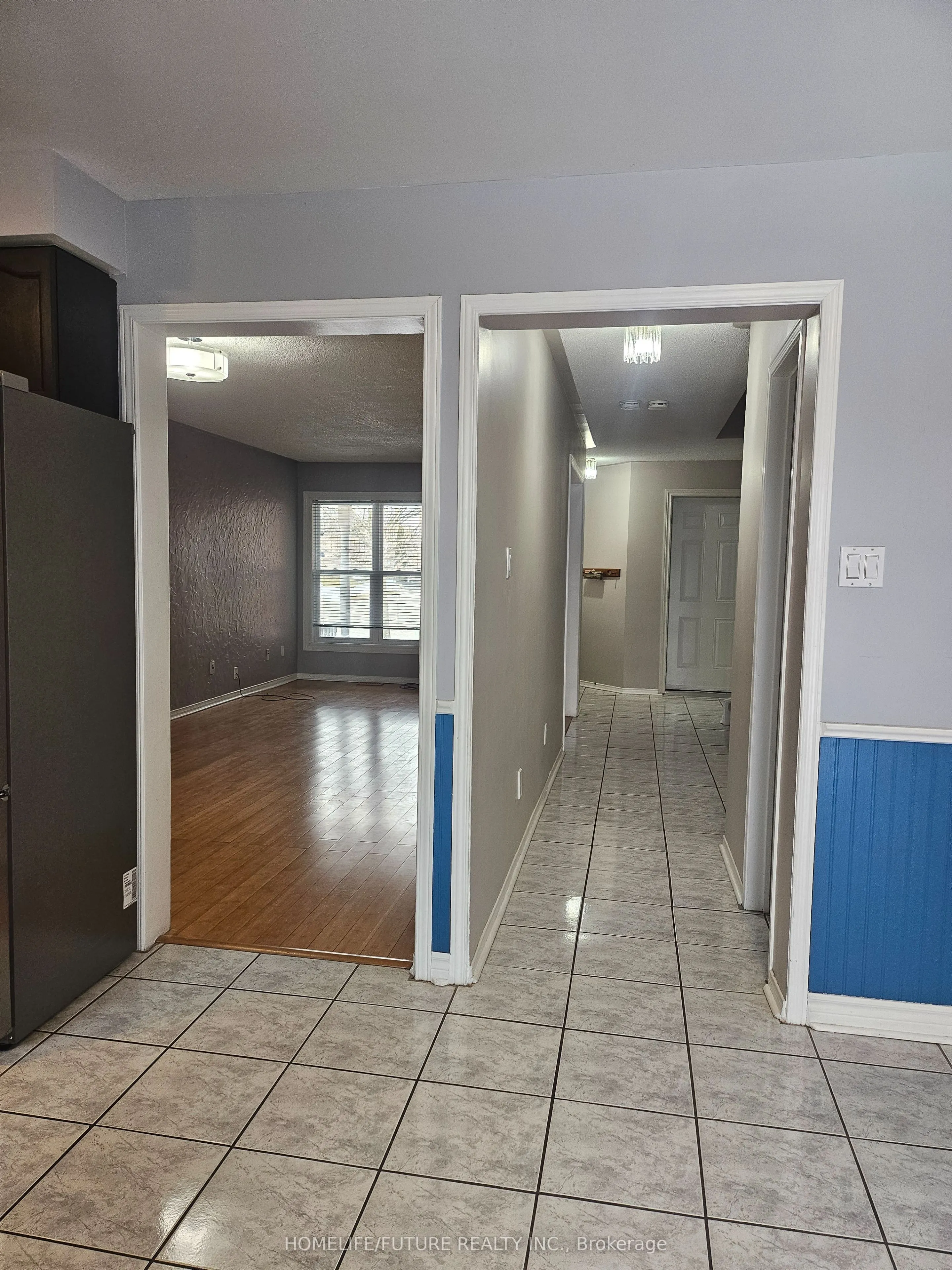 20 Glen Ray Court