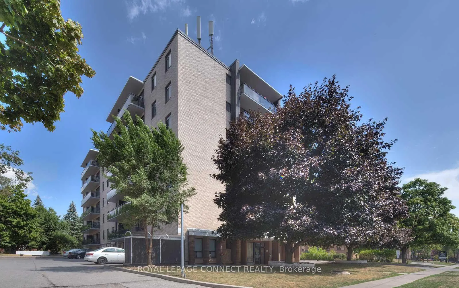 825 Kennedy Road #206