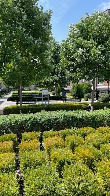 8835 Sheppard Avenue E, #319