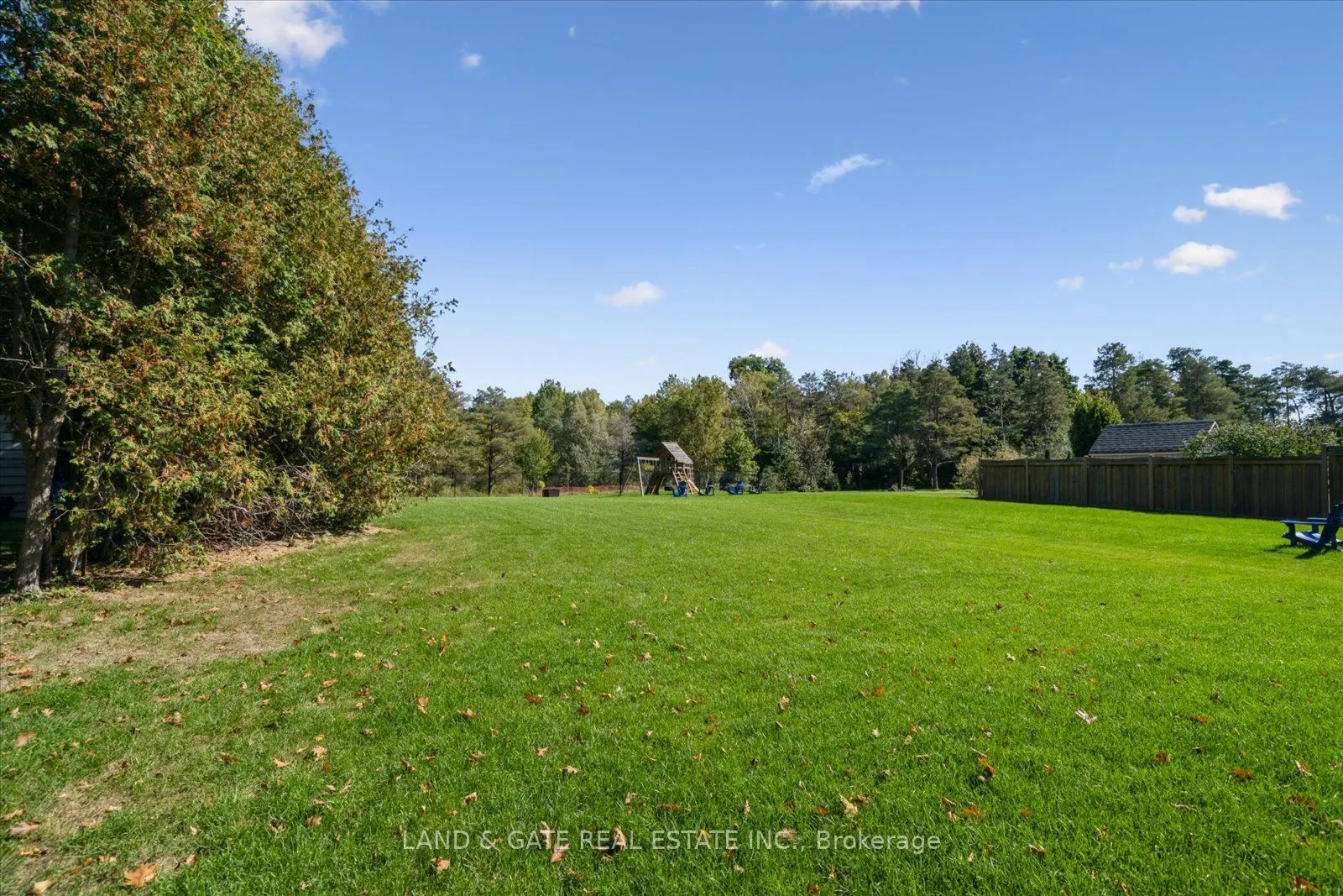 3331 Trulls Road