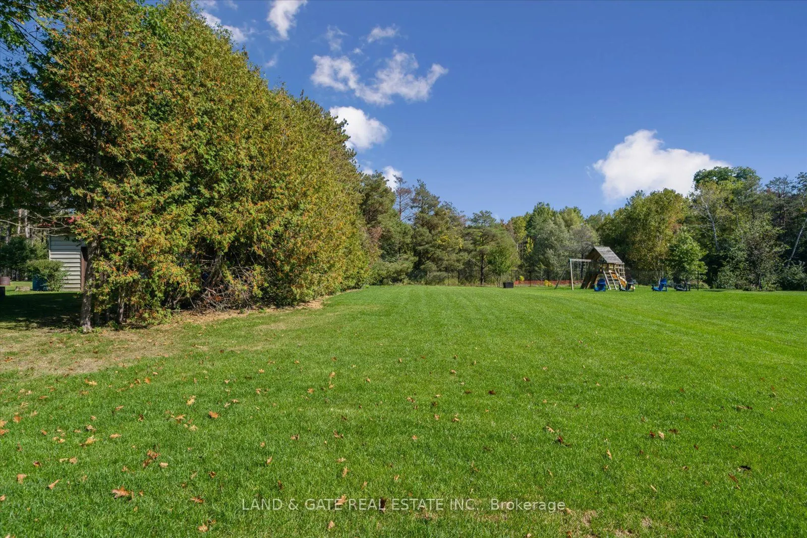 3331 Trulls Road