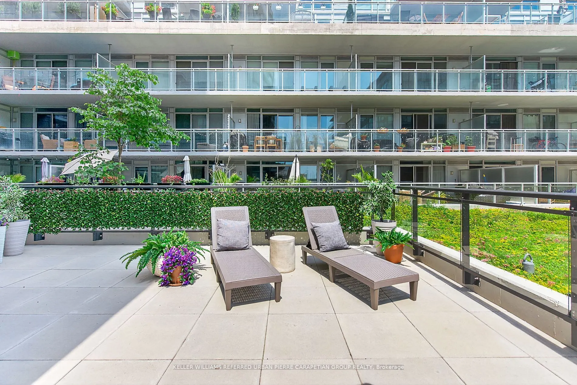 45 Baseball Street, #208