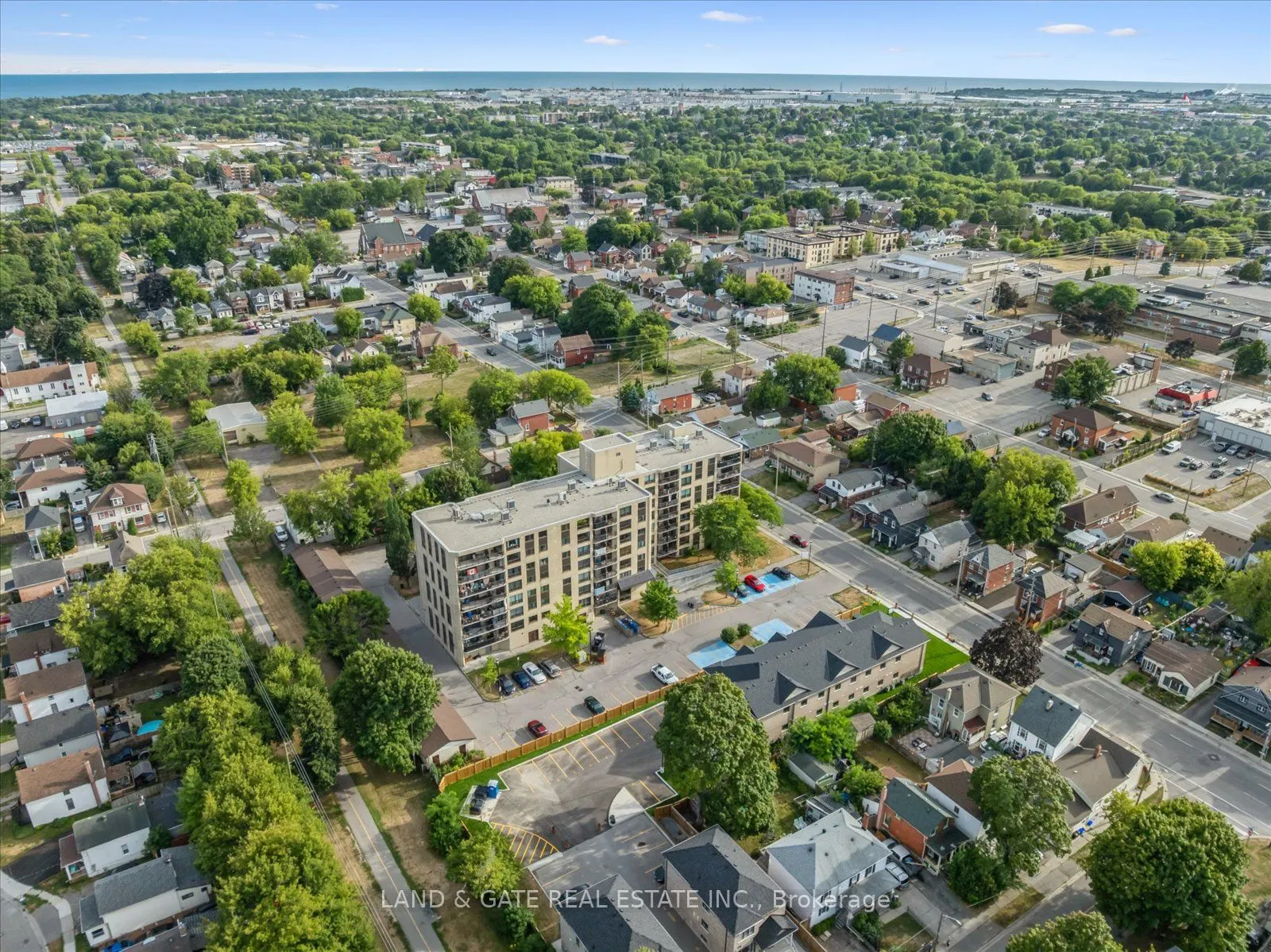 223 Albert Street, #3