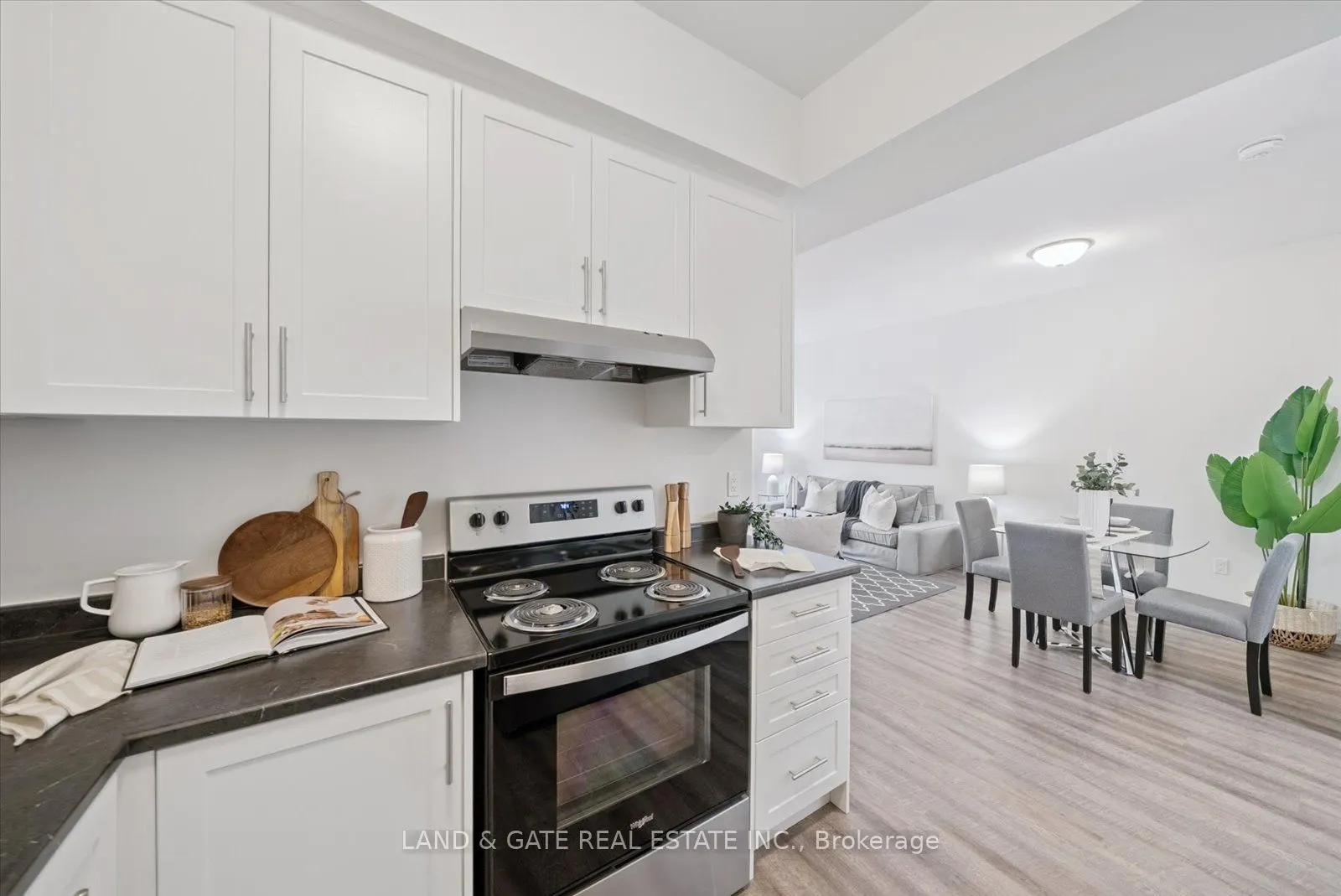 223 Albert Street, #3