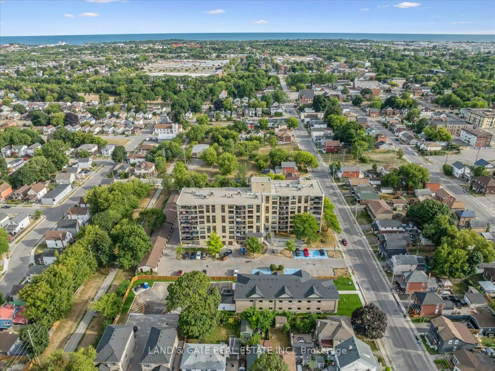 223 Albert Street, #3