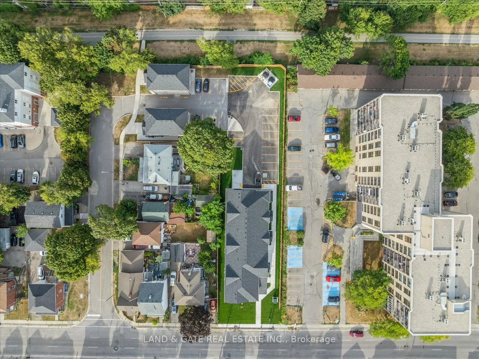 223 Albert Street, #3