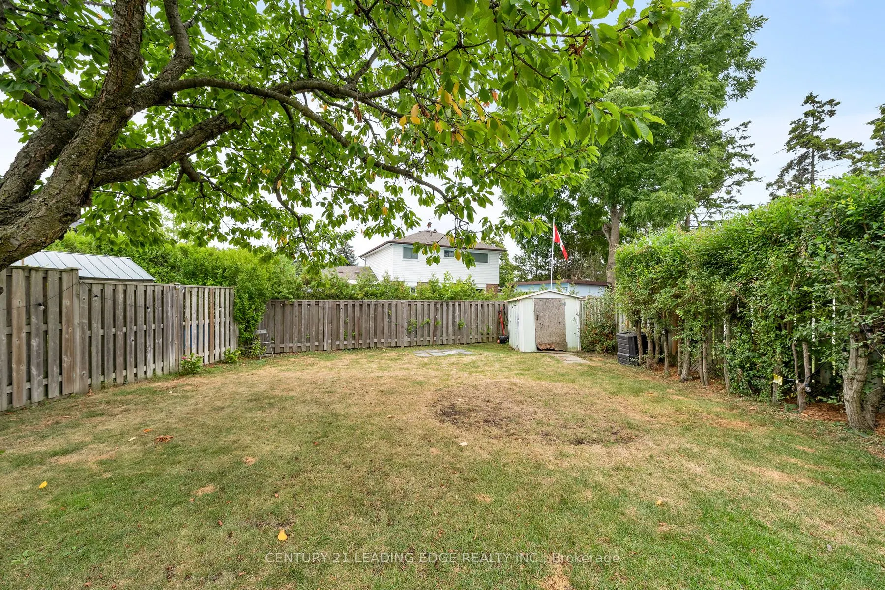 809 Sanok Drive
