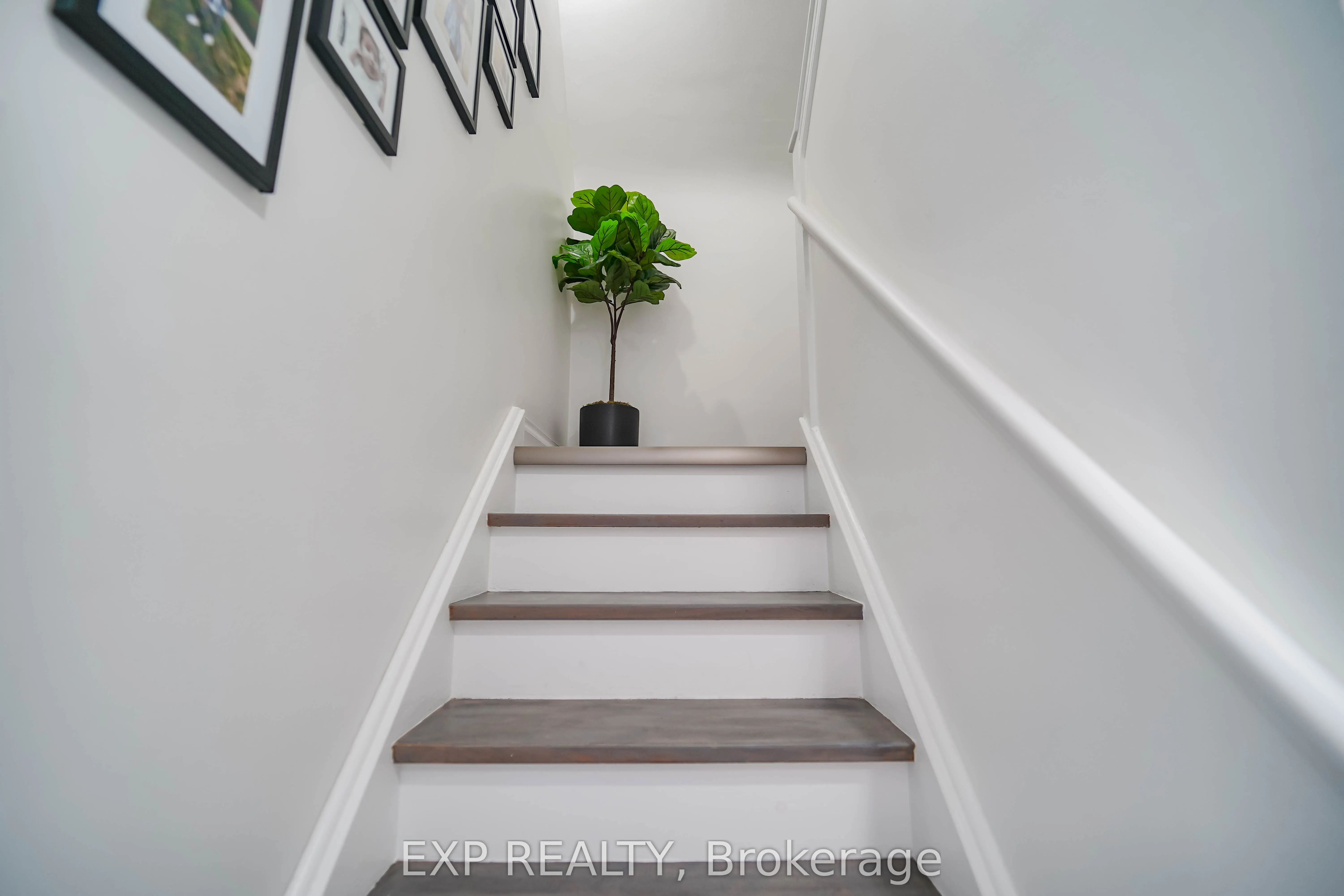 43 Southmead Road