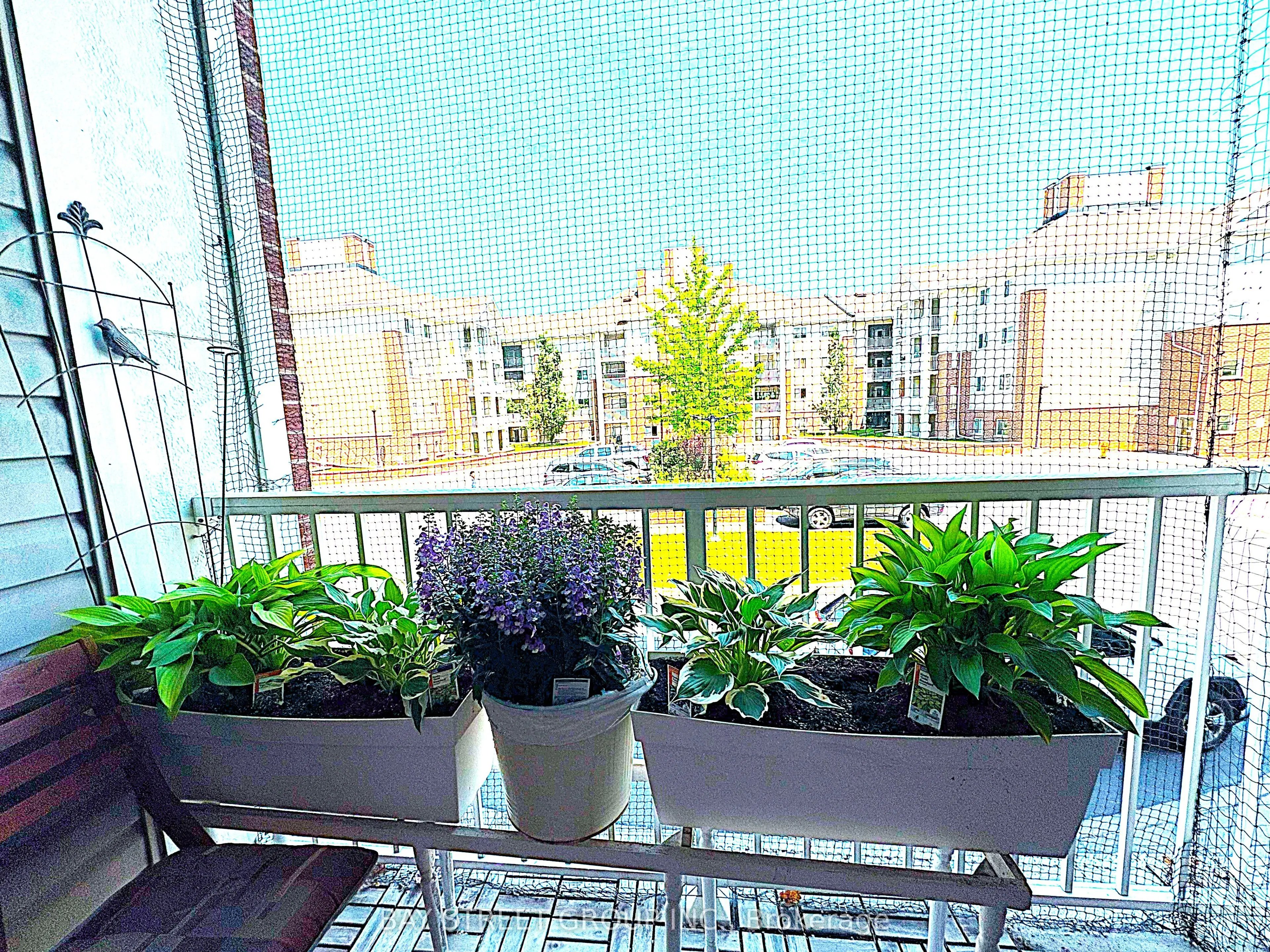 5235 Finch Avenue, #226