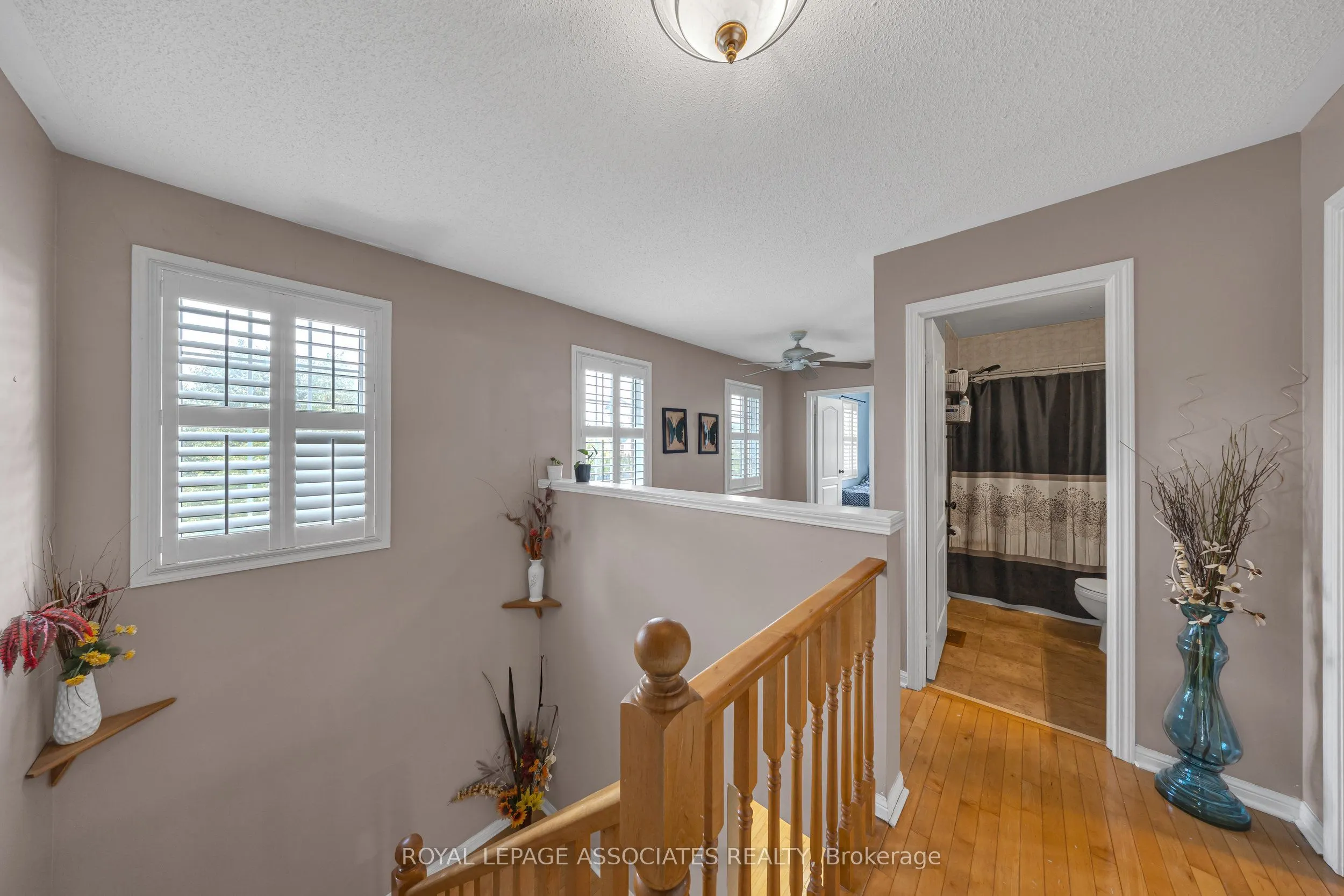 41 Pinoak Street