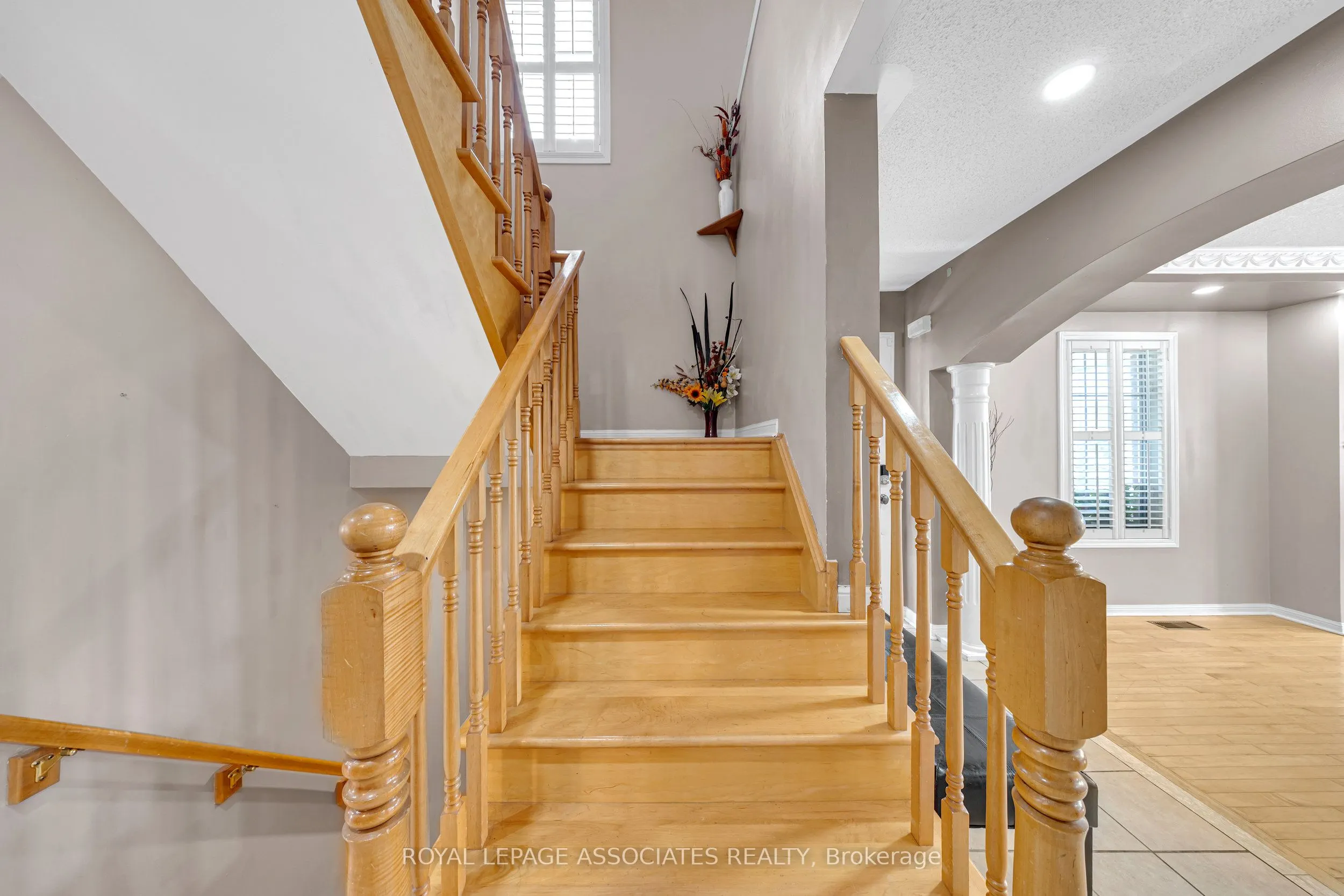 41 Pinoak Street