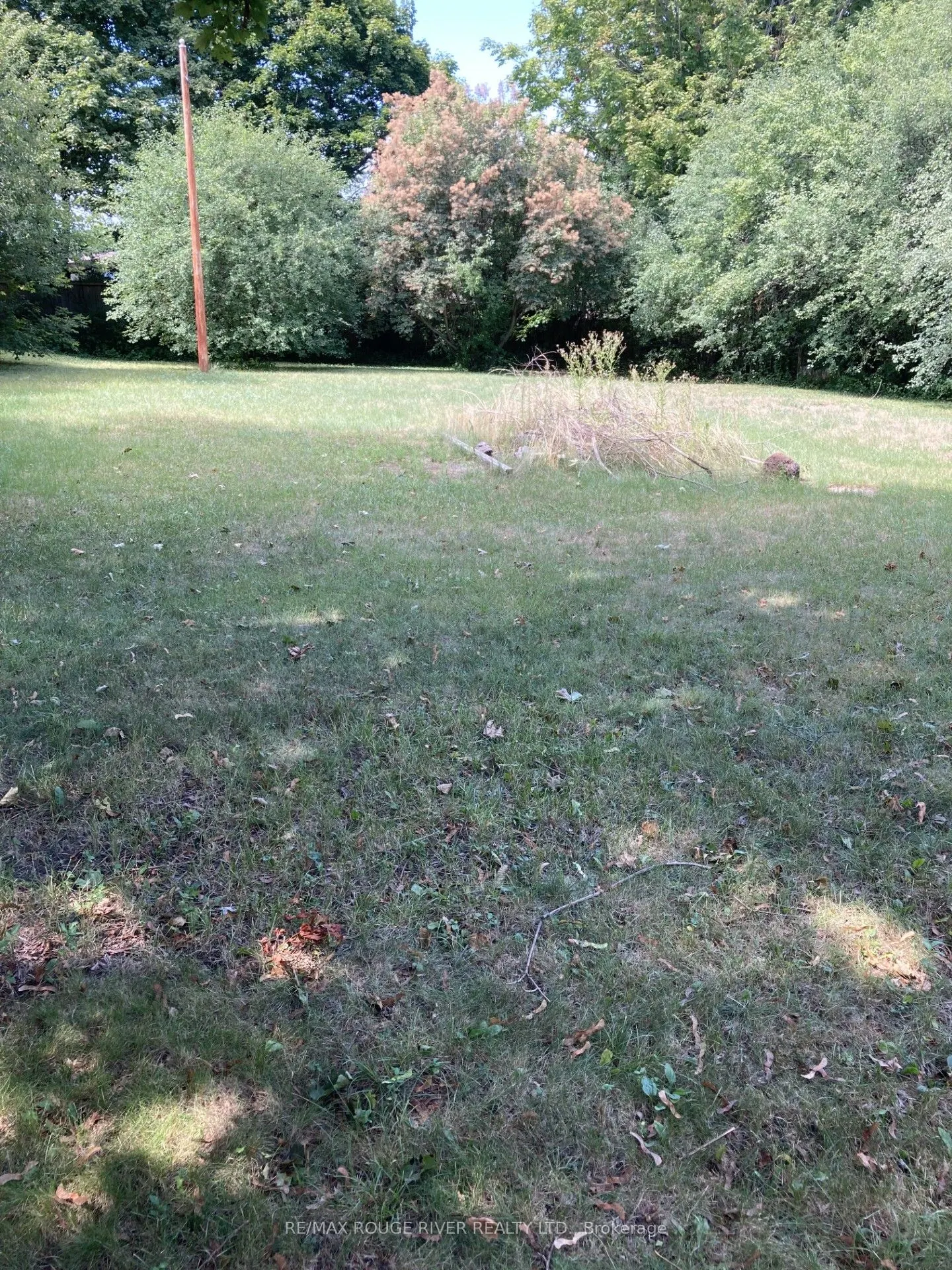 152 Thickson Road N