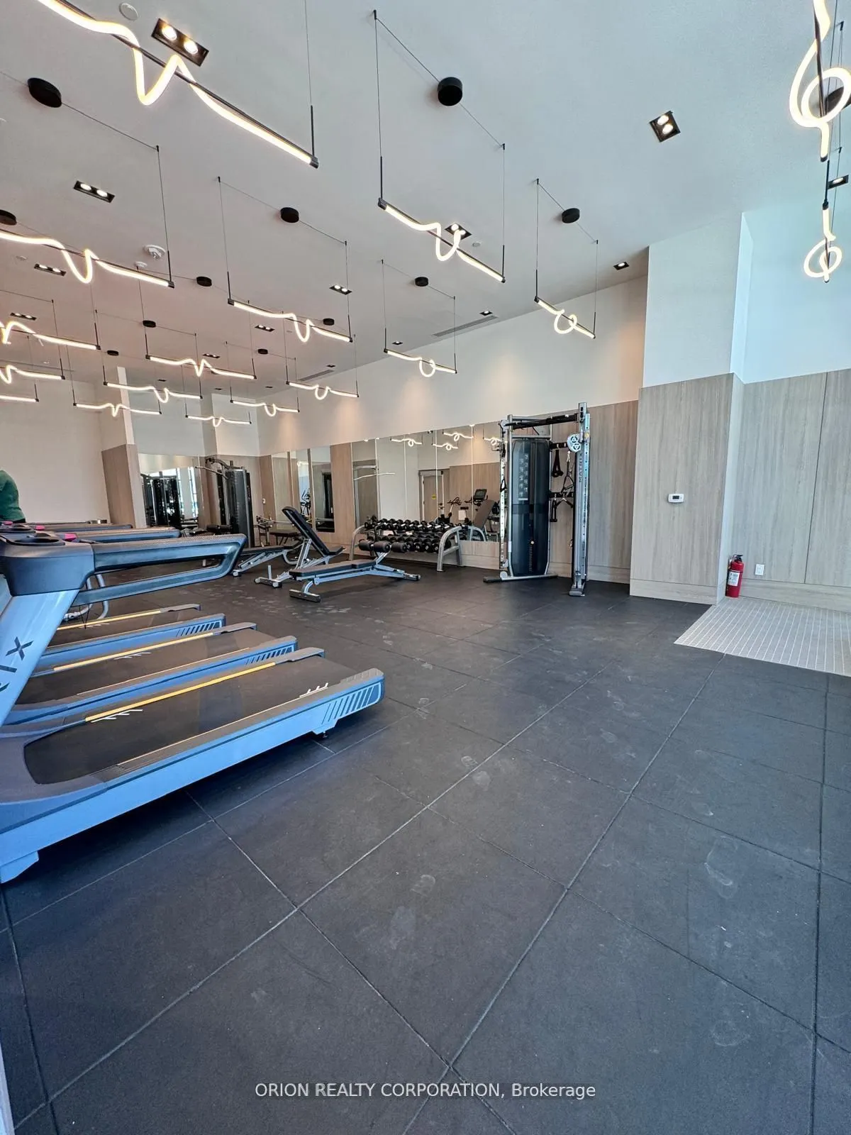 1455 Celebration Drive, #1304