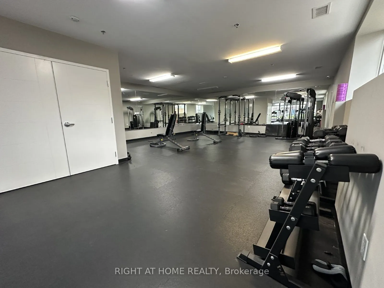 1435 Celebration Drive, #2204