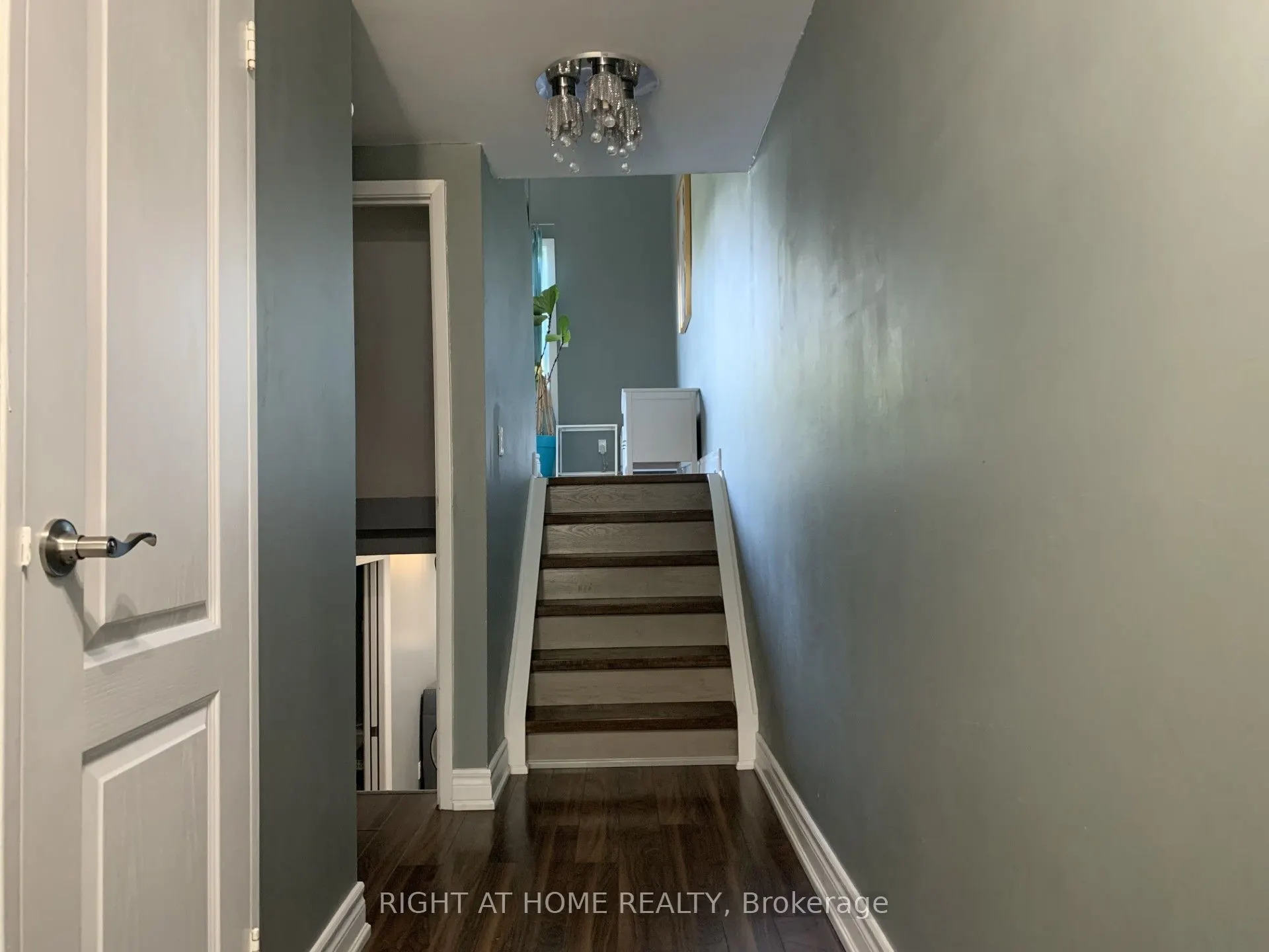 44 Chester Le Boulevard, #73