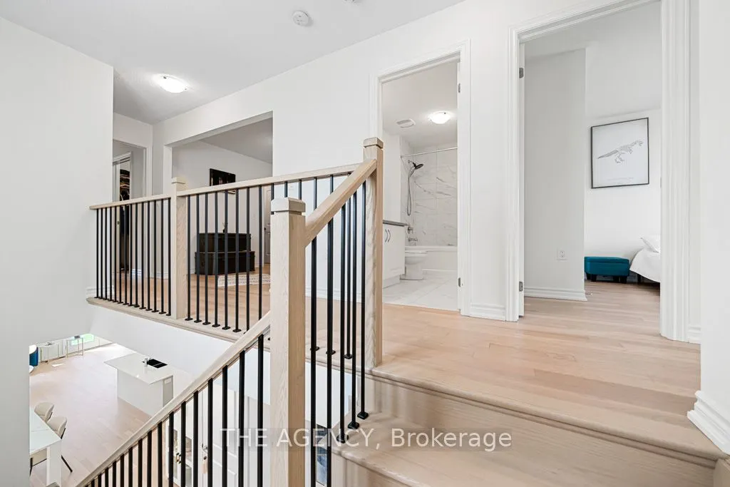 52 Velvet Drive