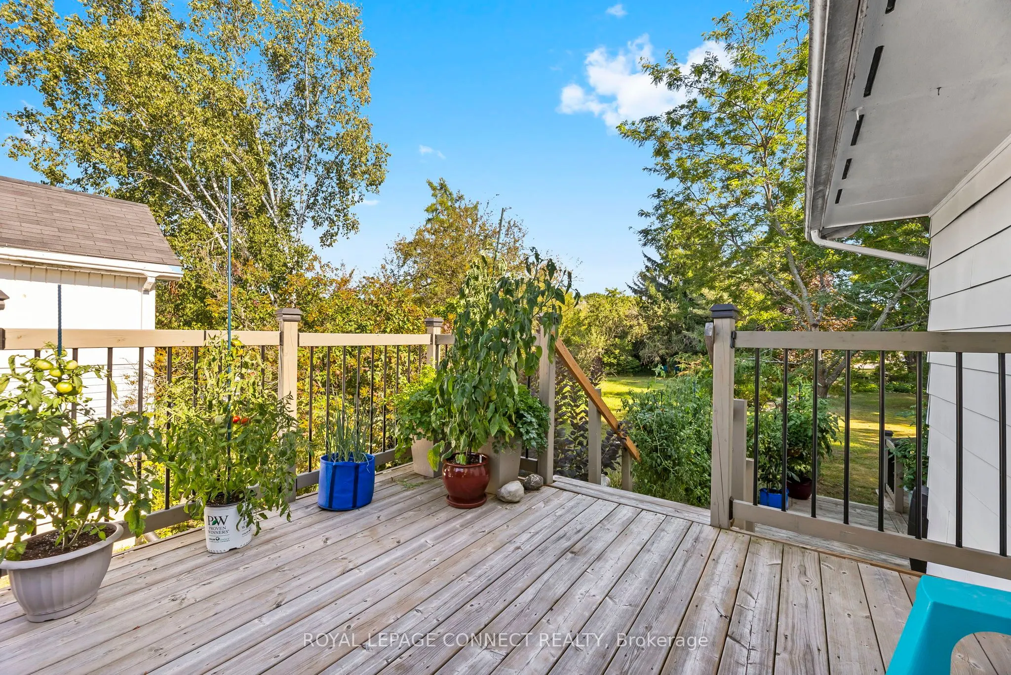 35 Lawson Road